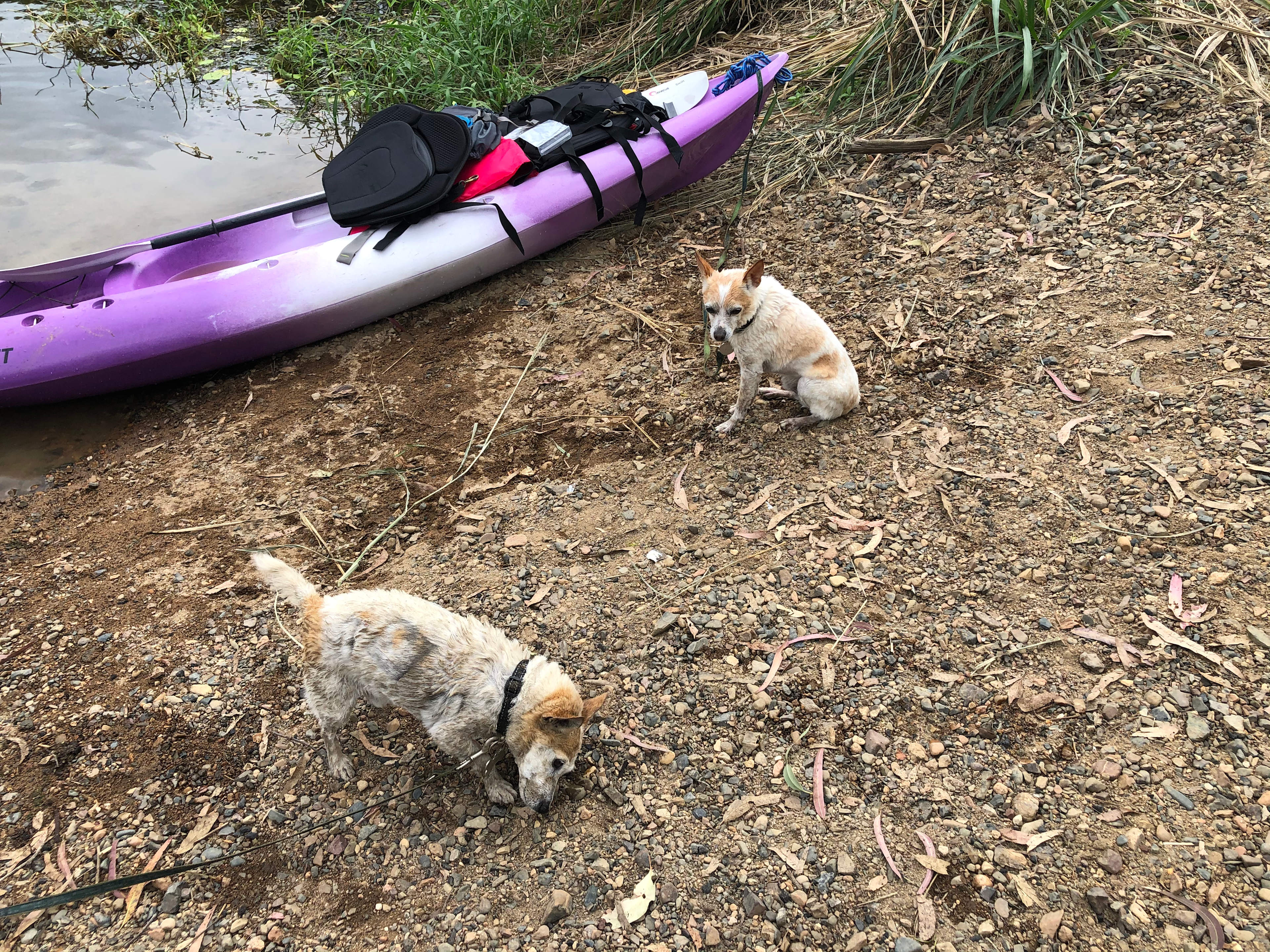 Camp Akuna Pikes Crossing INC