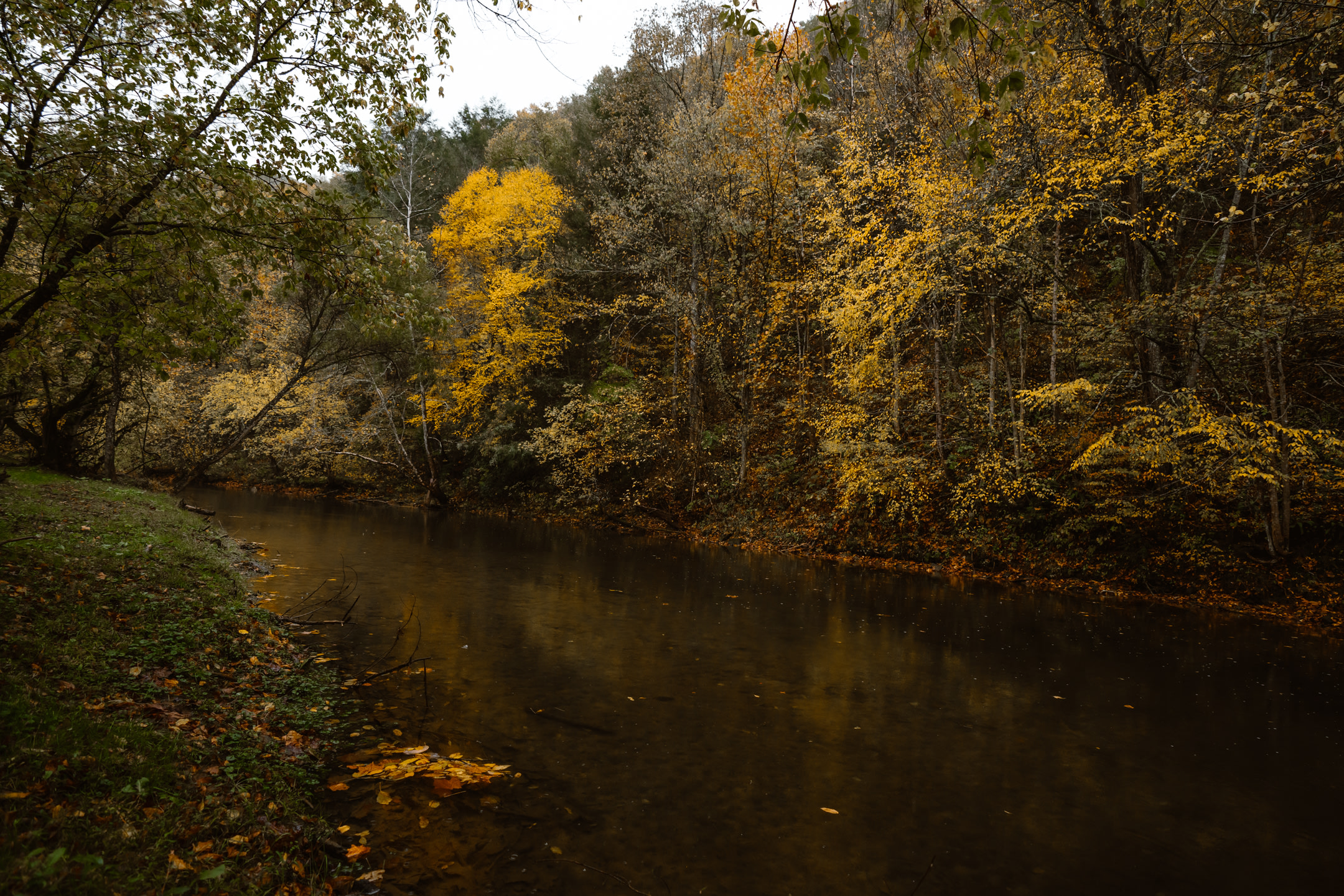 The creek that runs through is super peaceful a d would be great for warmer months