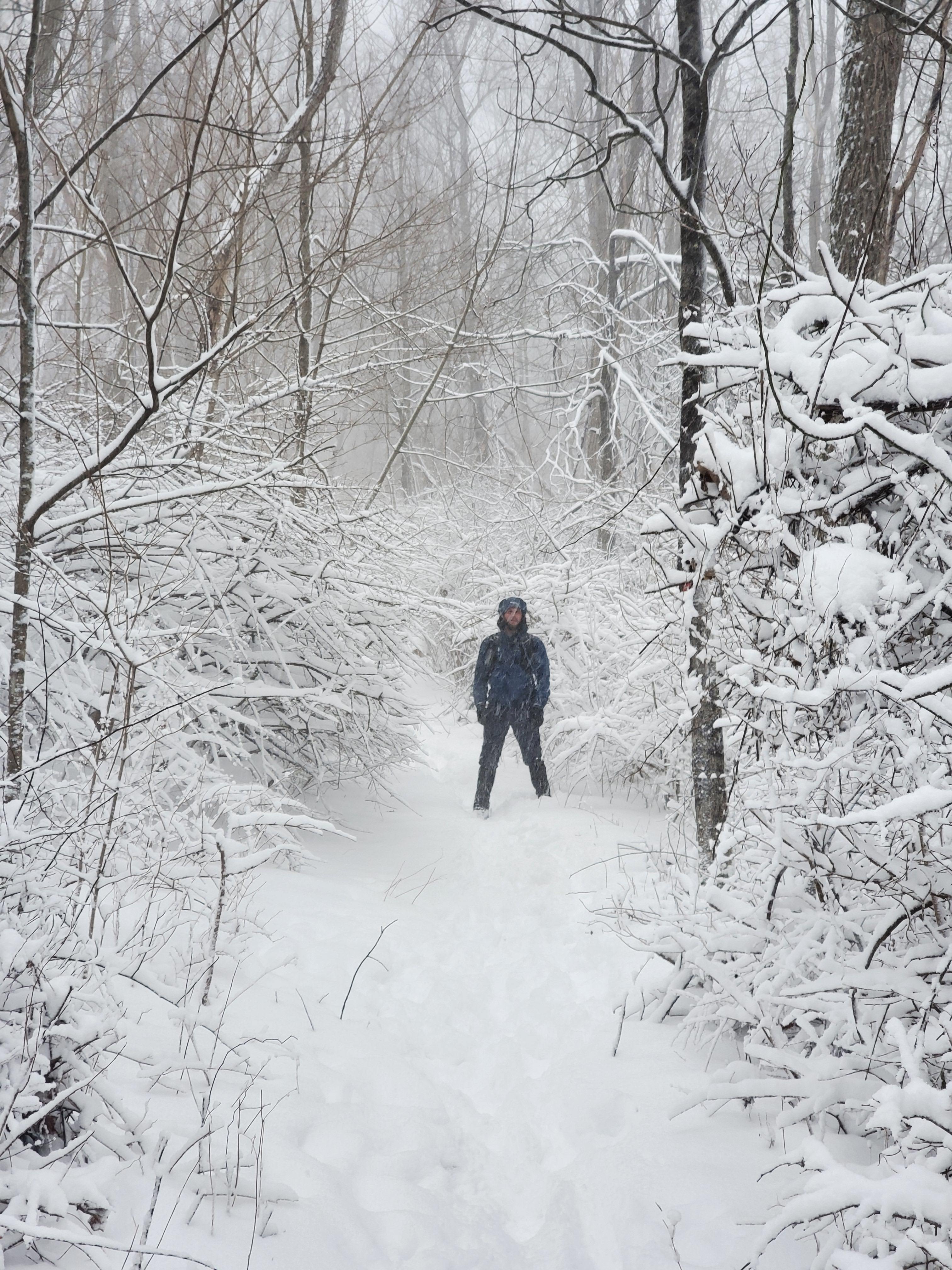 Winter is just as welcoming for adventurers.  Cross-country skiing and  snowshoeing