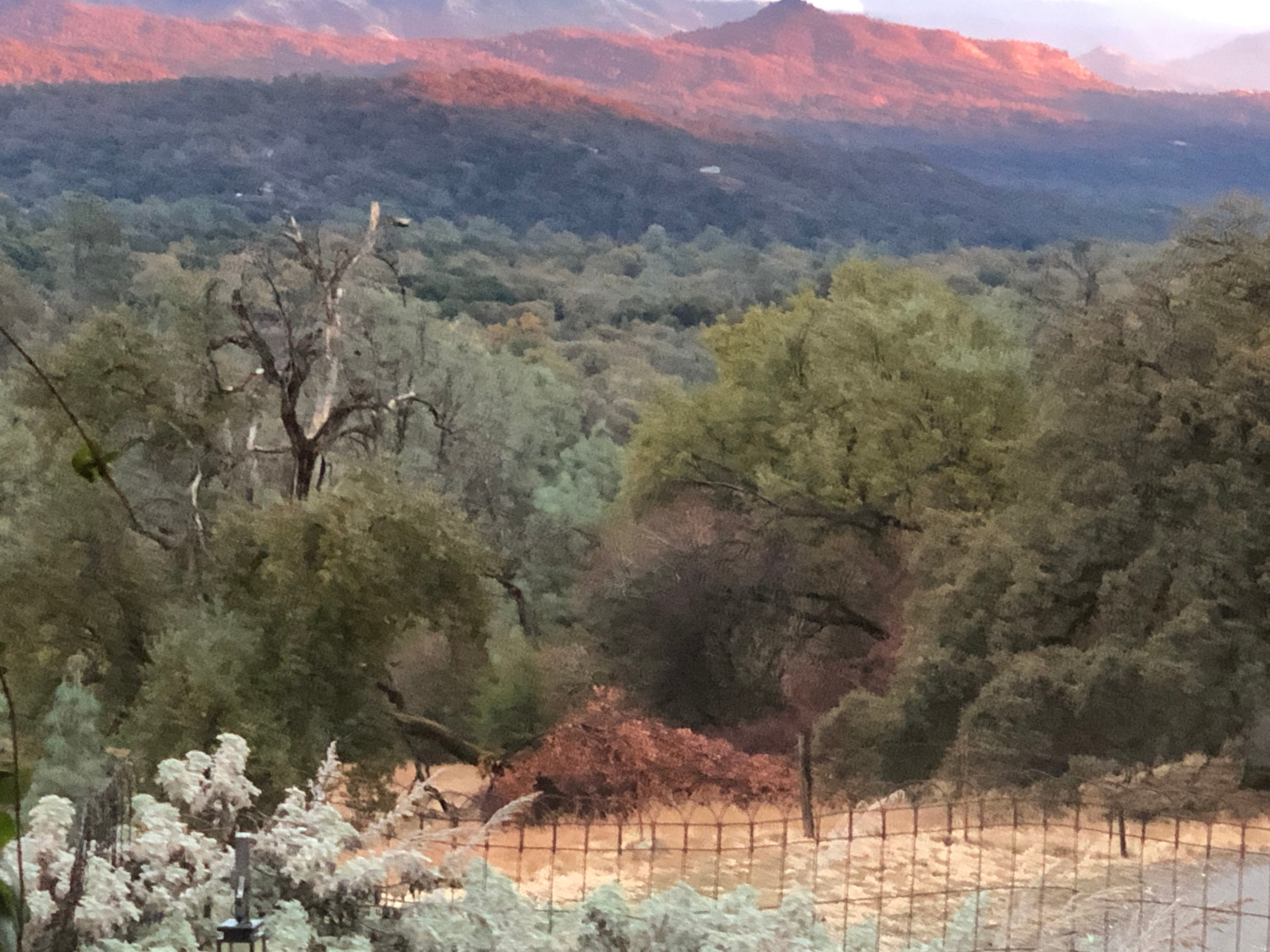 Another view from my property