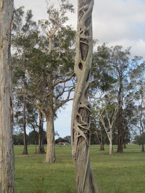 Playstation Campsite