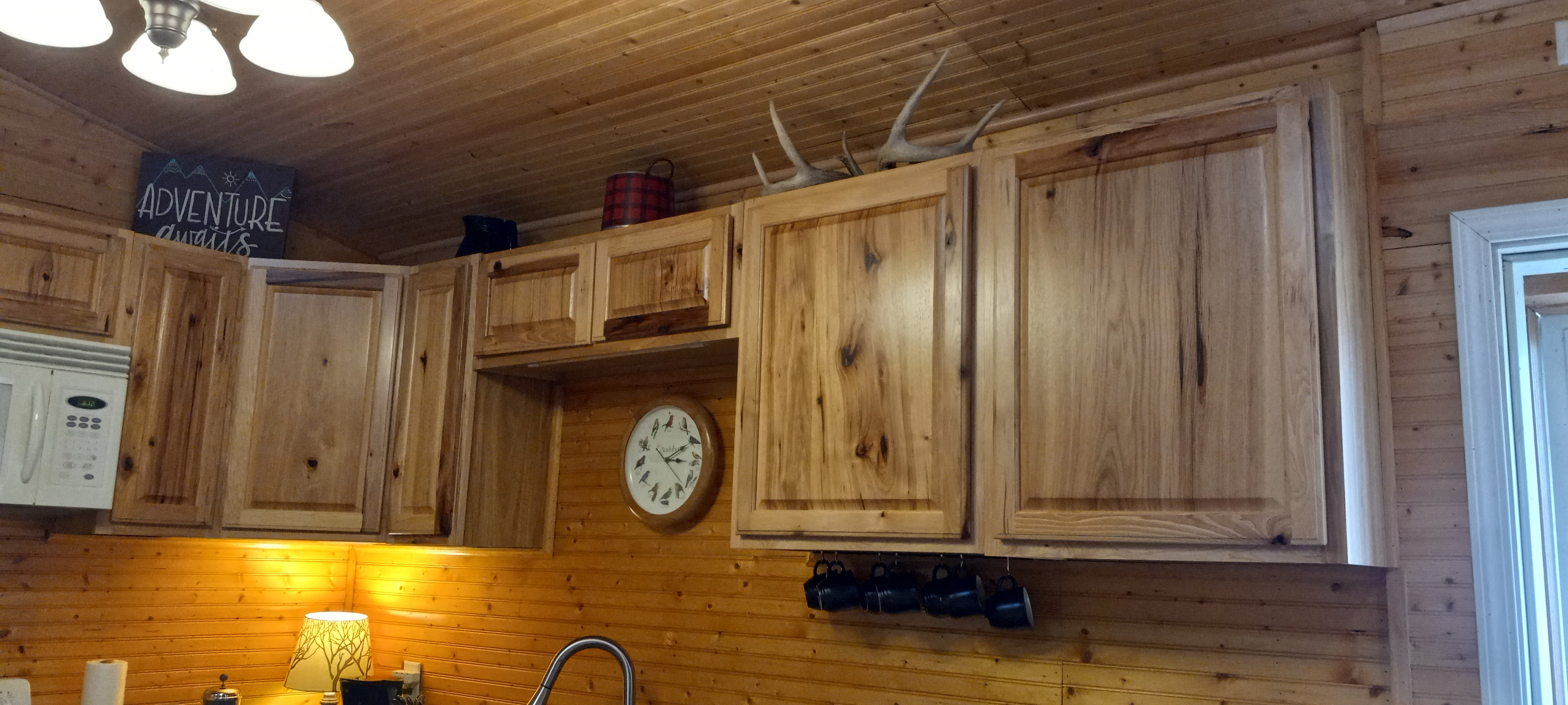Shed antlers. No animals were harmed in the (re-)production of any decor.  Male deer routinely "shed' their antlers every year and grow new ones.   Its perfectly normal.  Sometimes you can find discarded antler in the woods.  There is NO HUNTING on the property. 