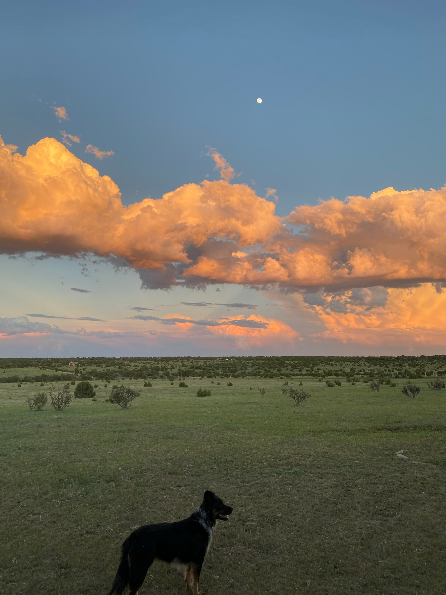 Lovely sky, full moon above!
