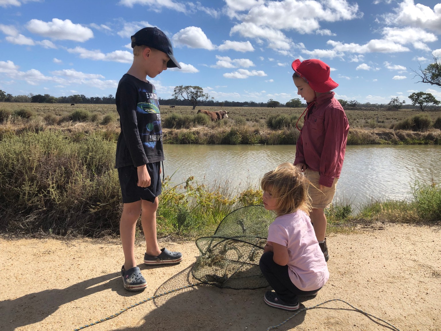 Pattison Pastoral Farm Stay