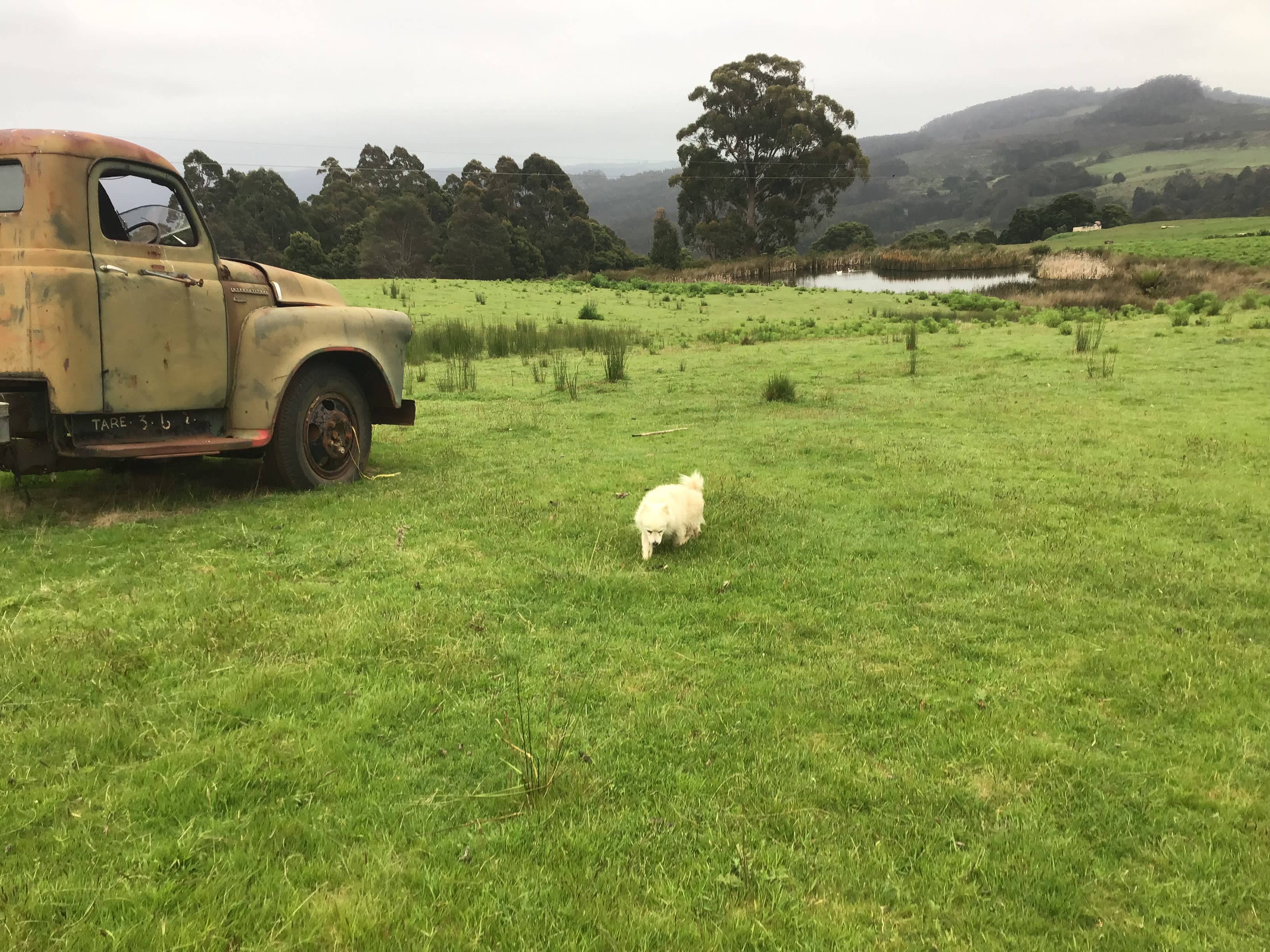 South Preston Dam Camp