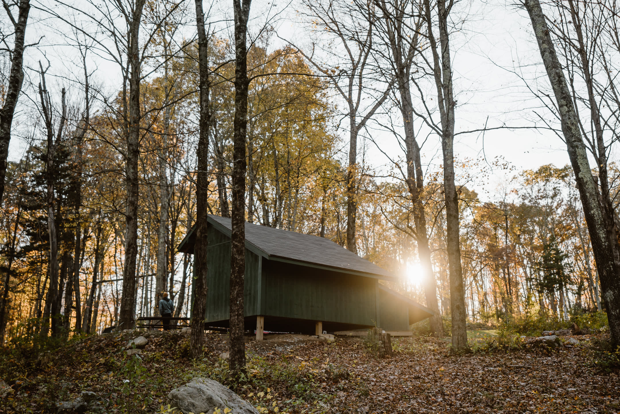 The shelters are nestled in the trees.