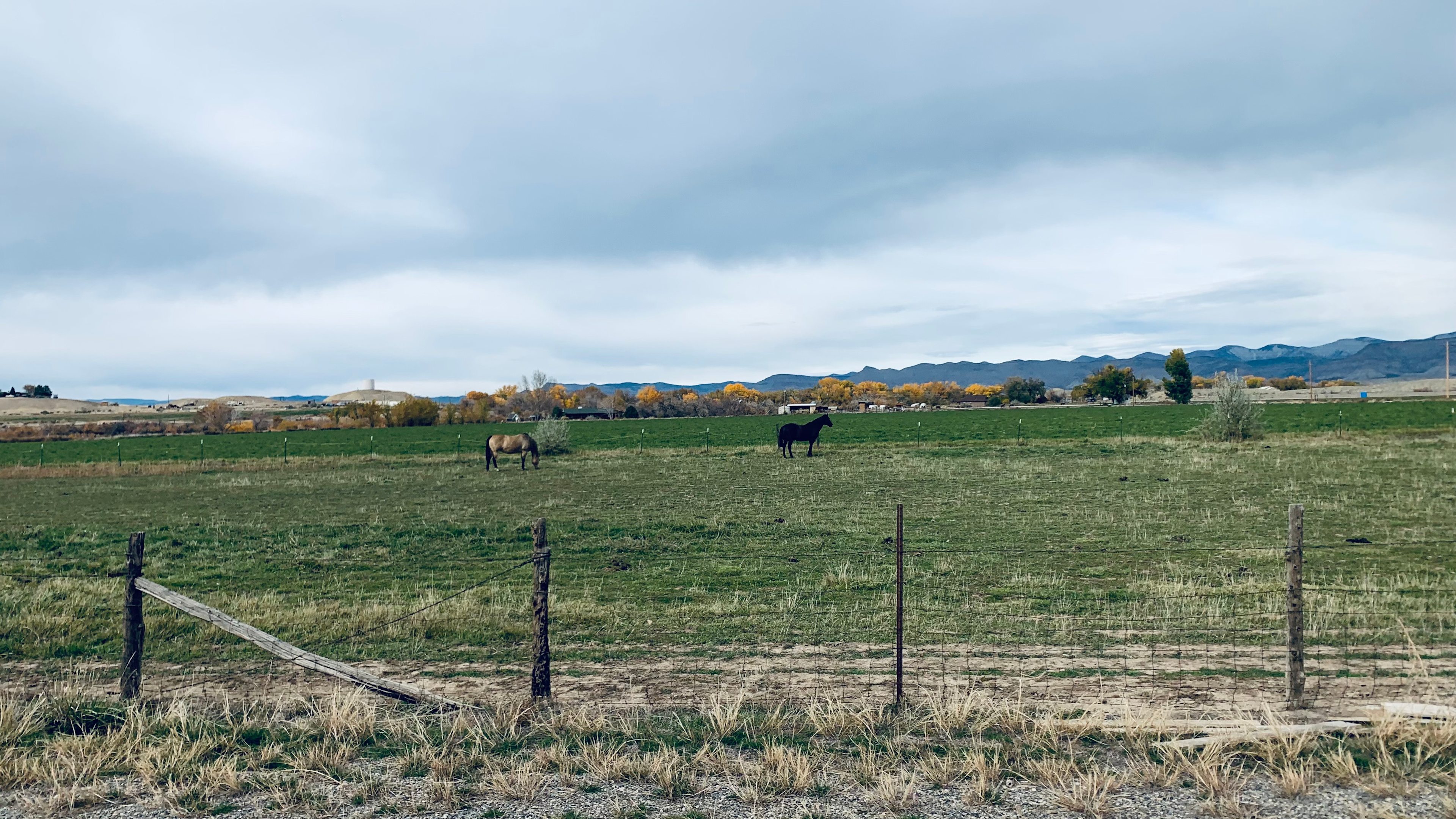 Near Fruita Bike Trails