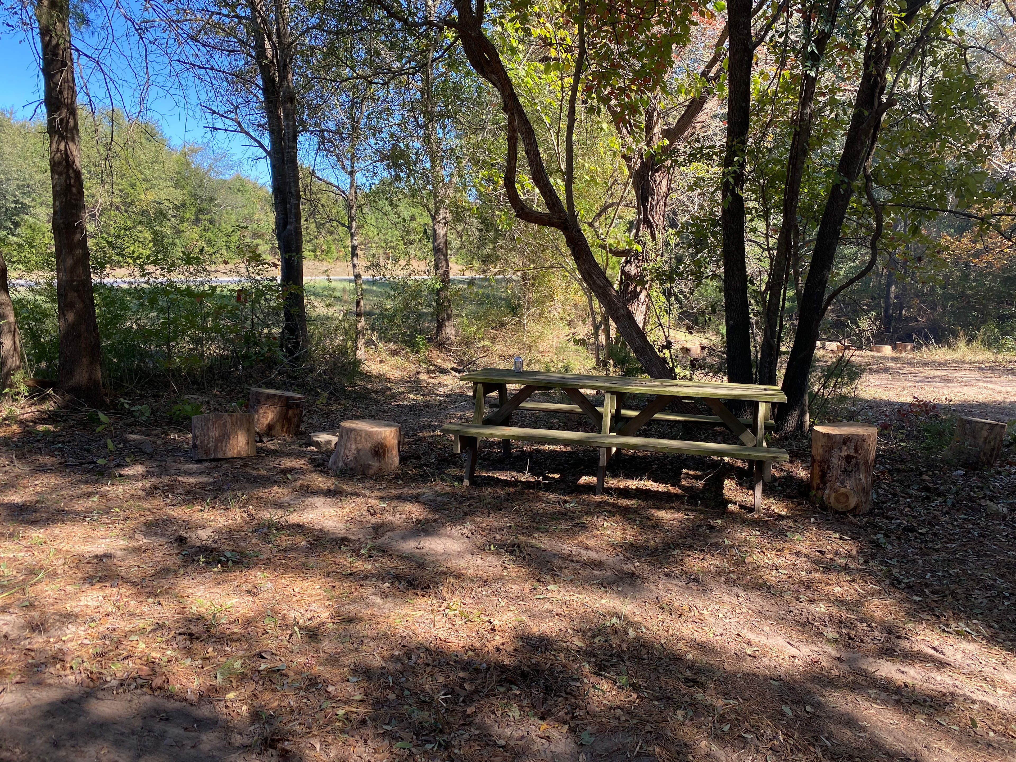 Site two picnic table