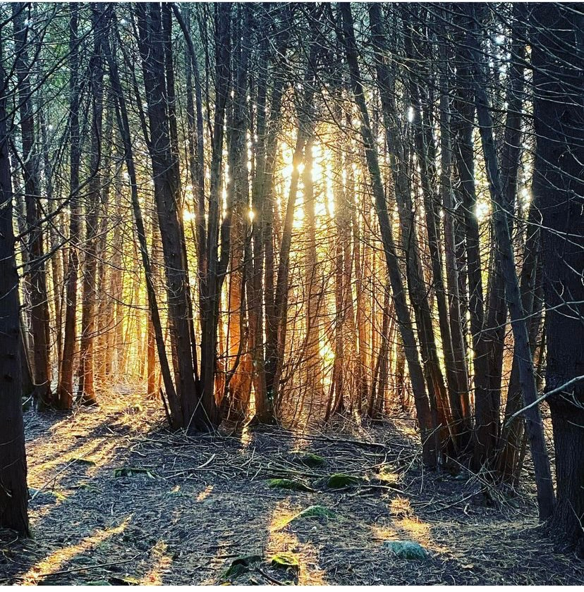 ❤️186 ACRES OF FARM HORSE CAMPING 🐎🐄