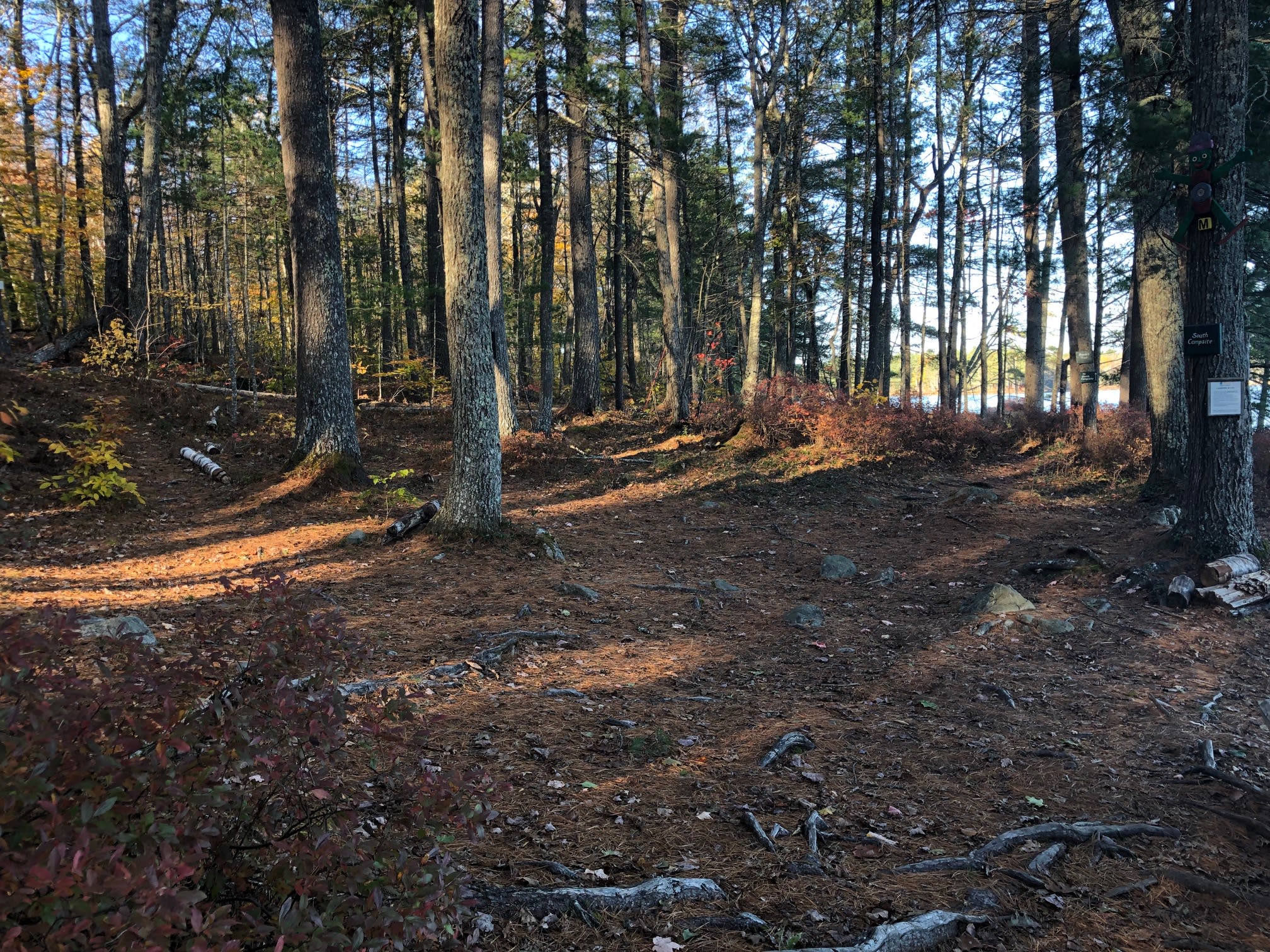 relatively flat spaces for two to three tents