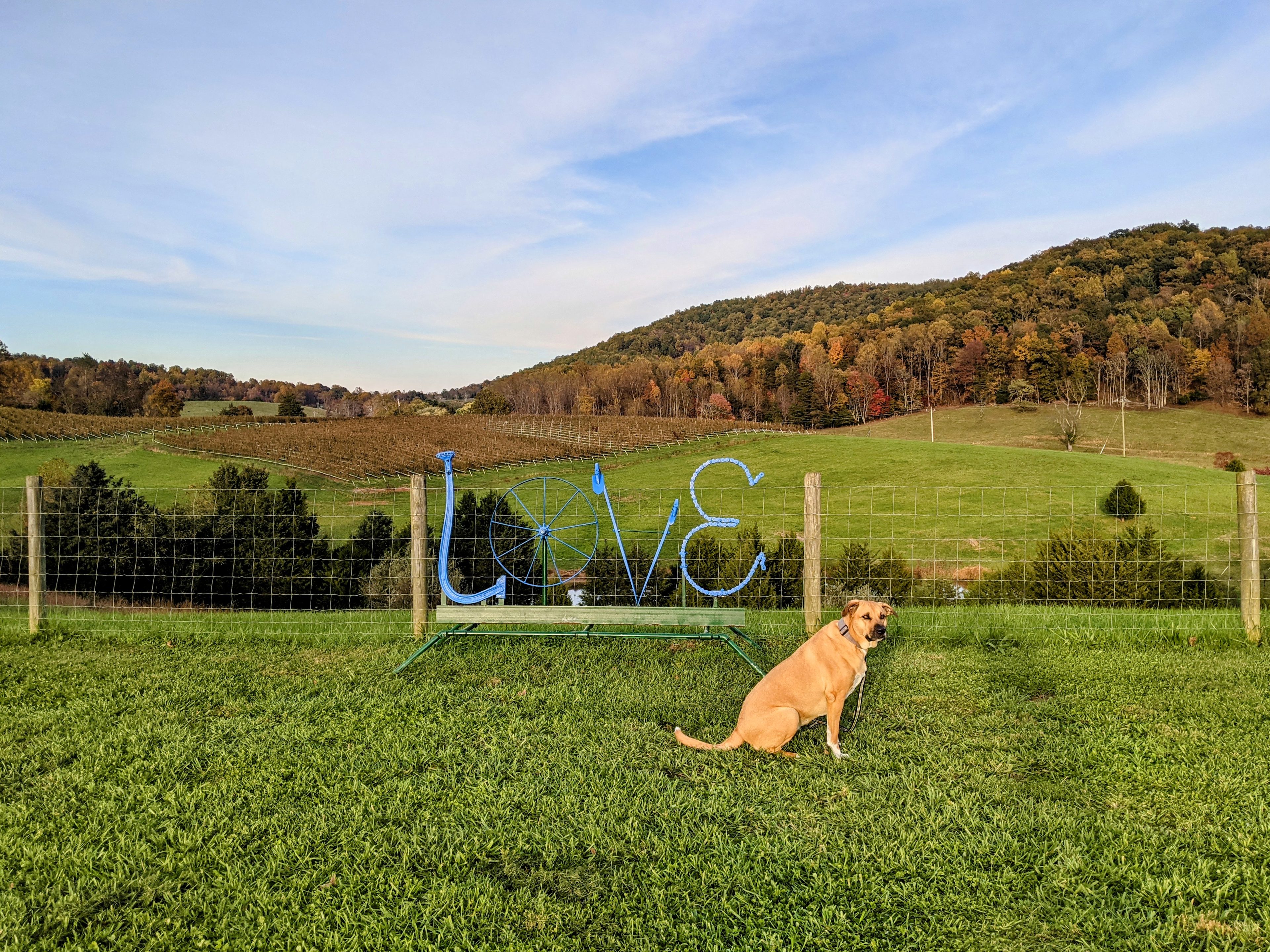 Blue Quartz Winery/Brewery