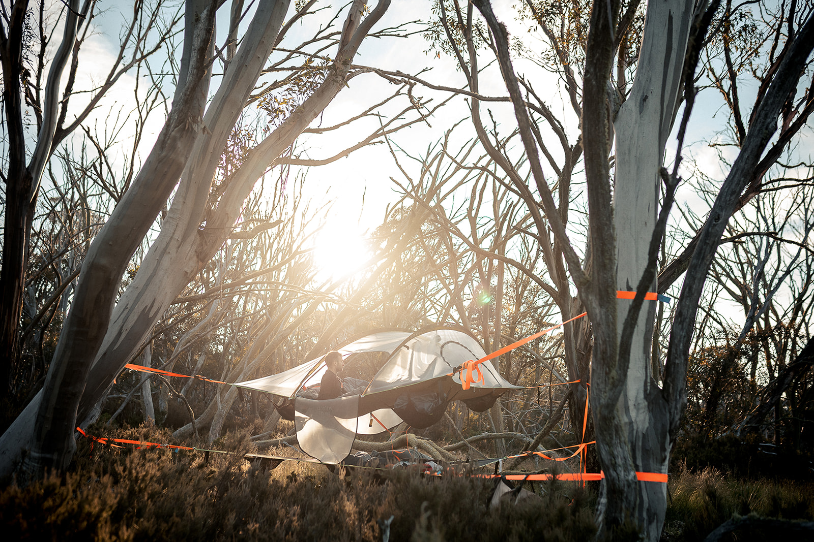 Alpine Nature Experience