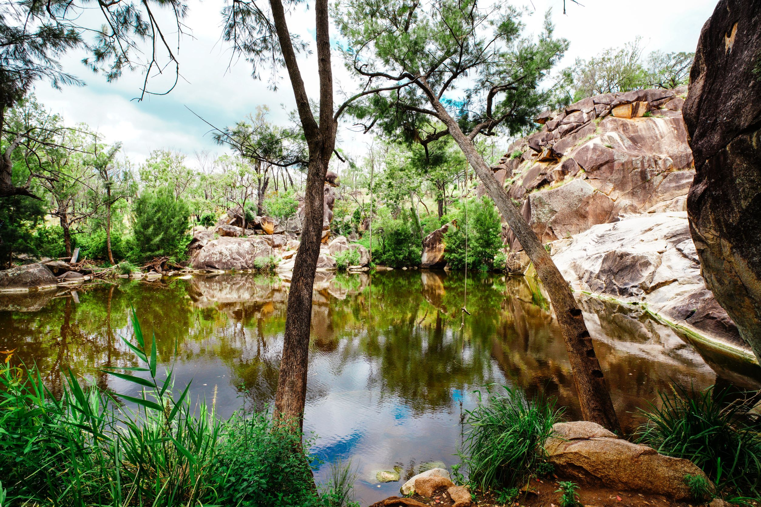 recommend a trip to the local waterhole 