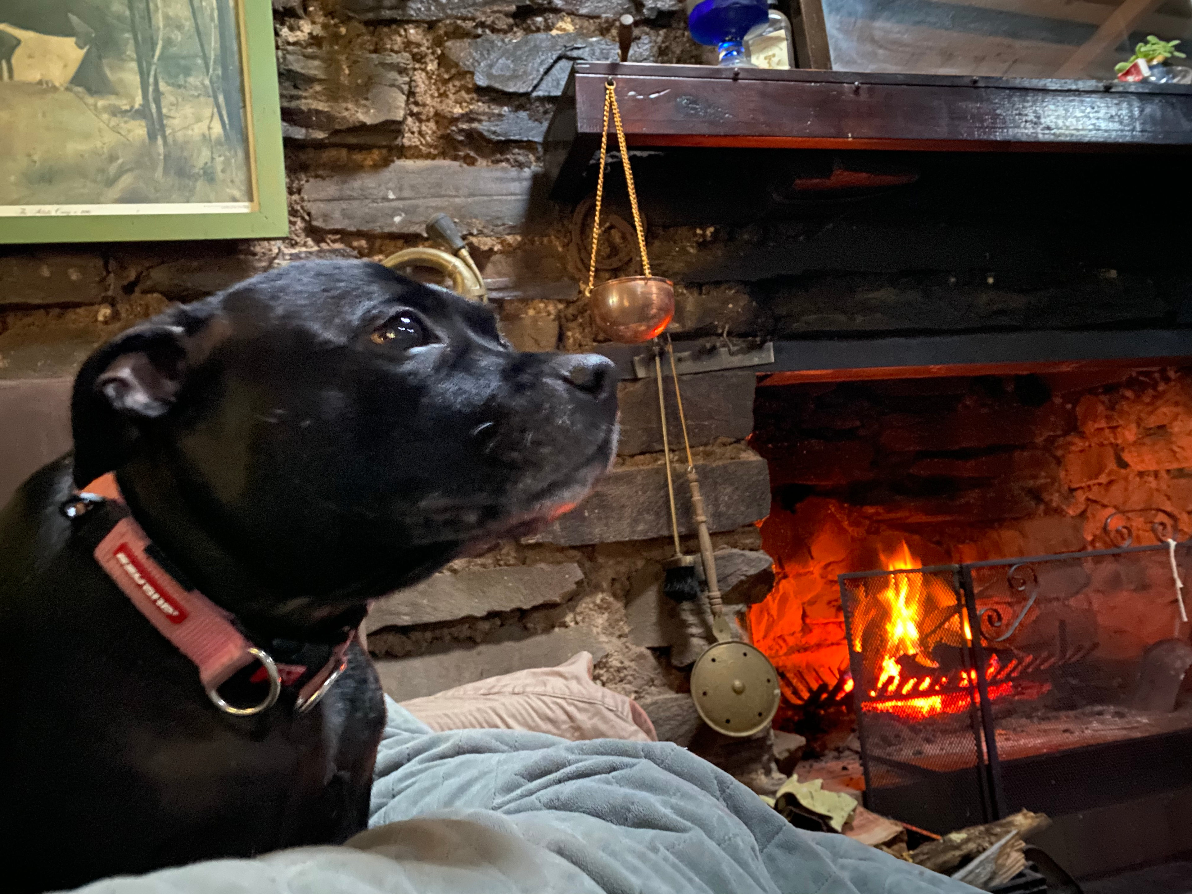 Rustic Miner’s Cabin