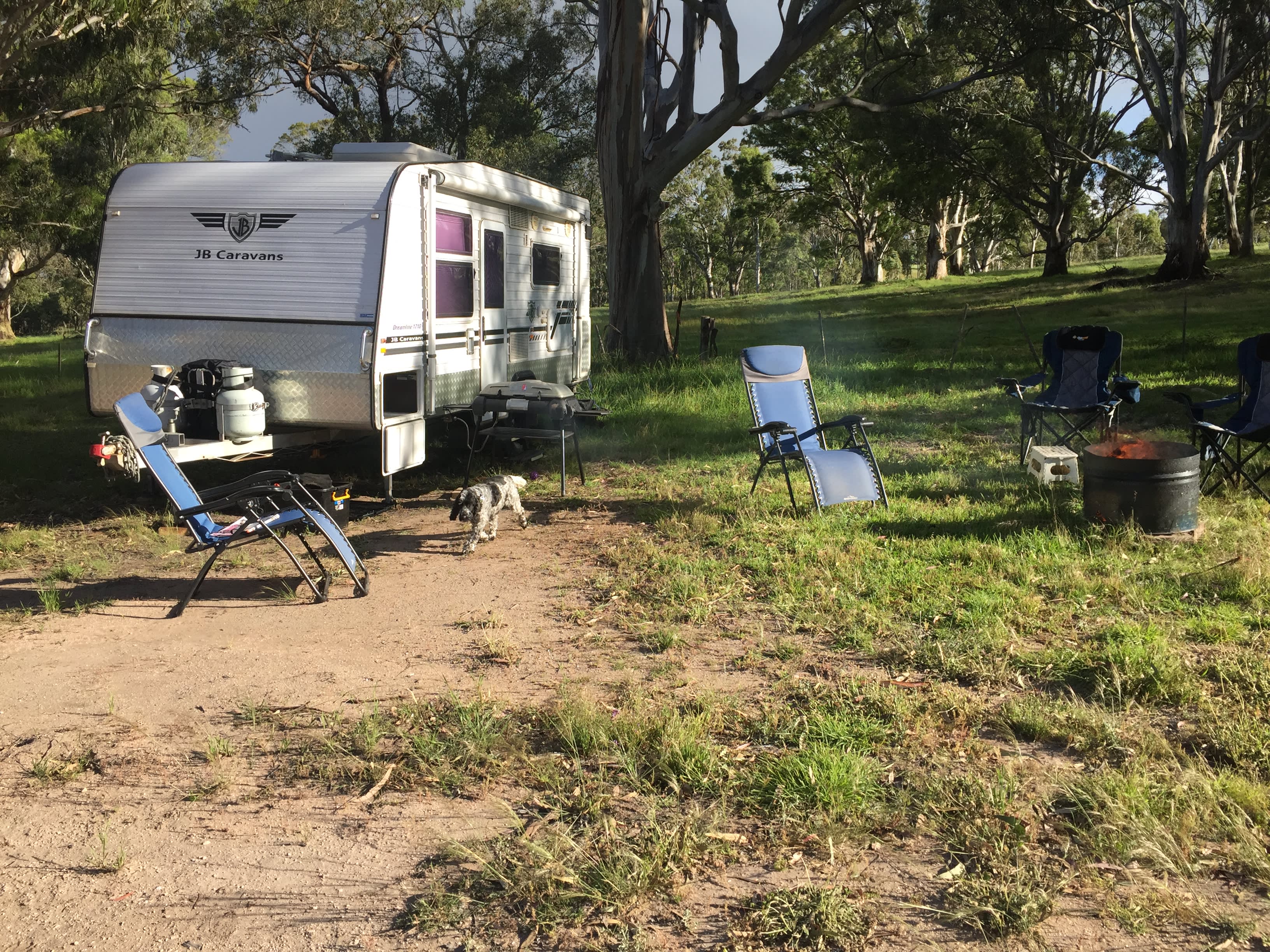 This is our very spacious site!