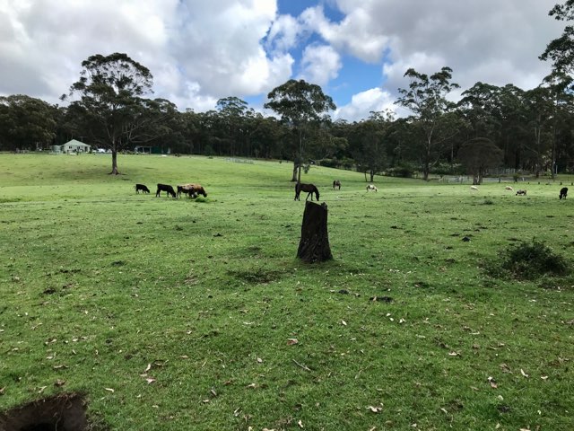 Country Camping on the Coast