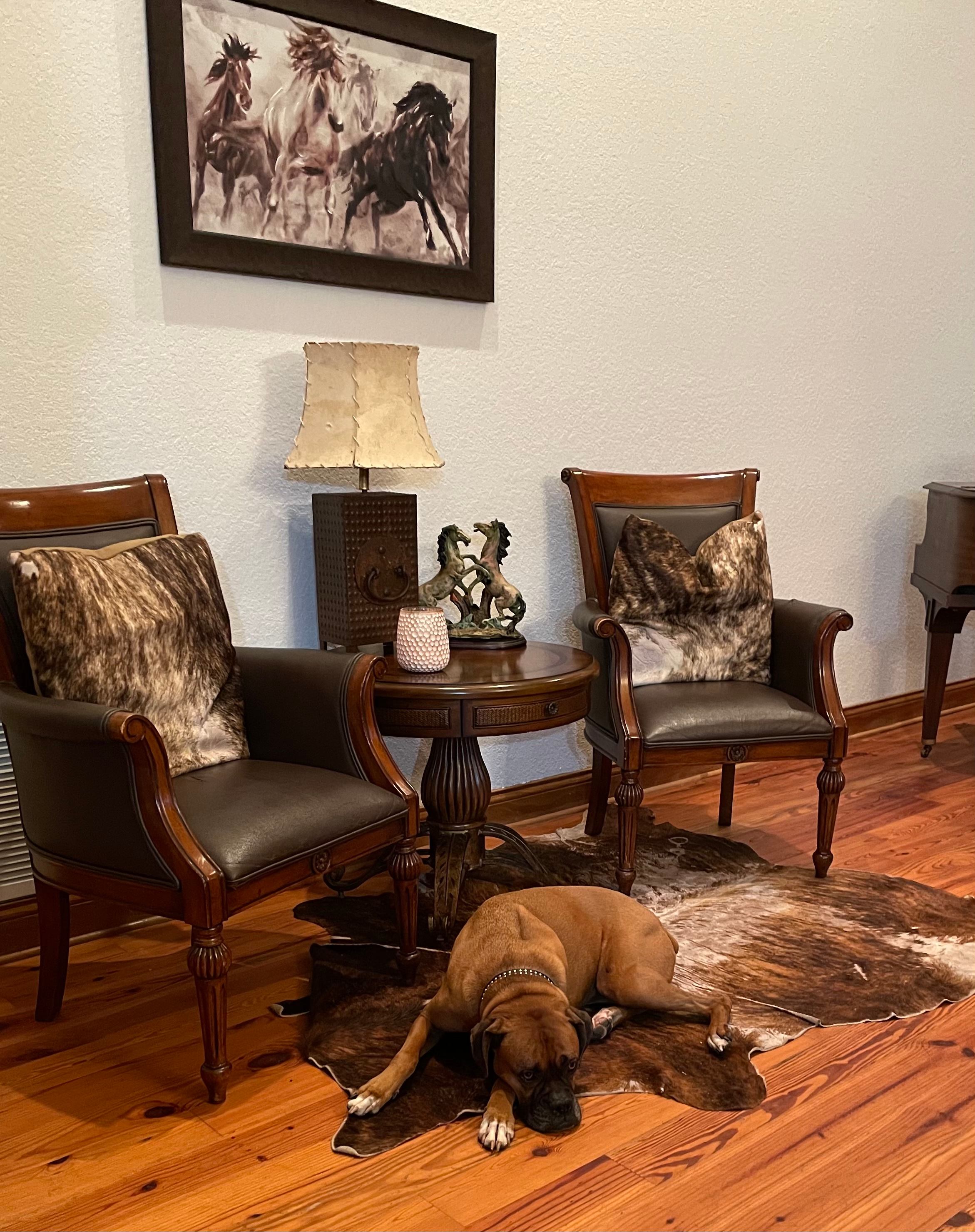 My dog enjoyed the clubhouse.