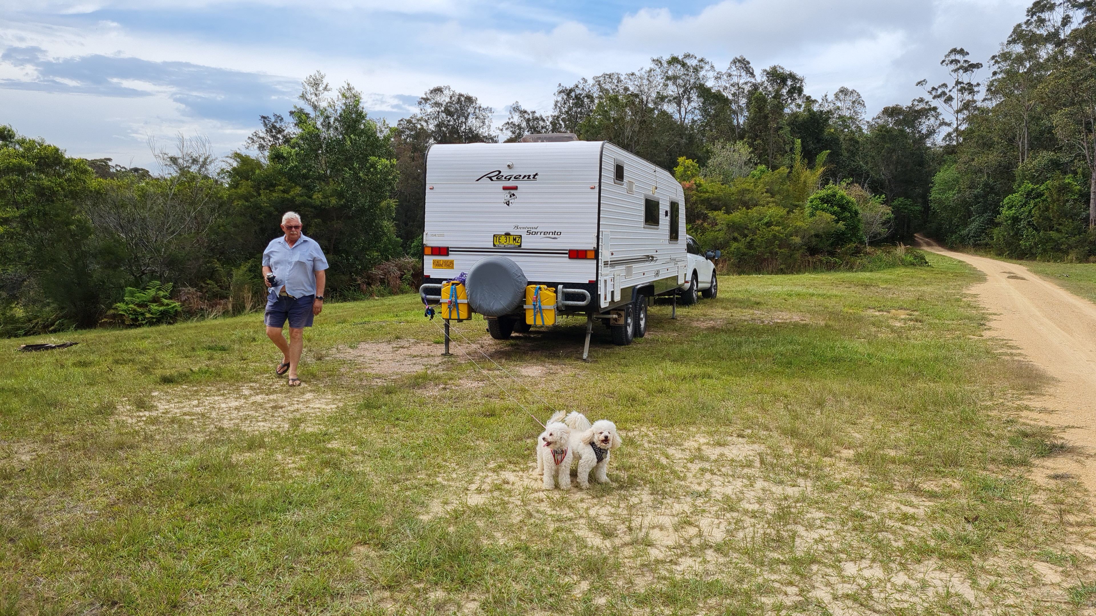 Husband and puppies stretching their legs glad to be at our destination for the night.