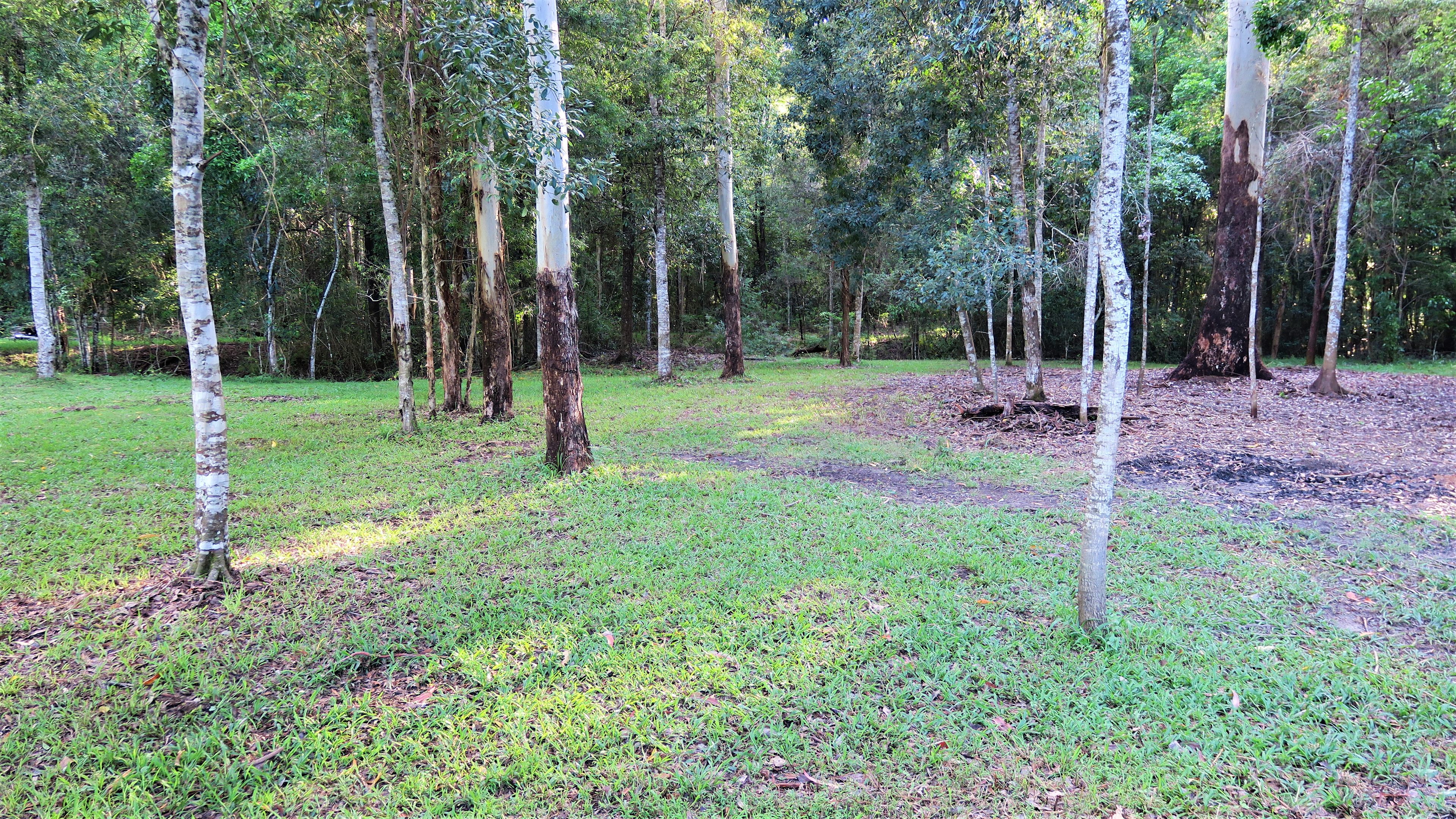 Bunya Ridge Nature Camp