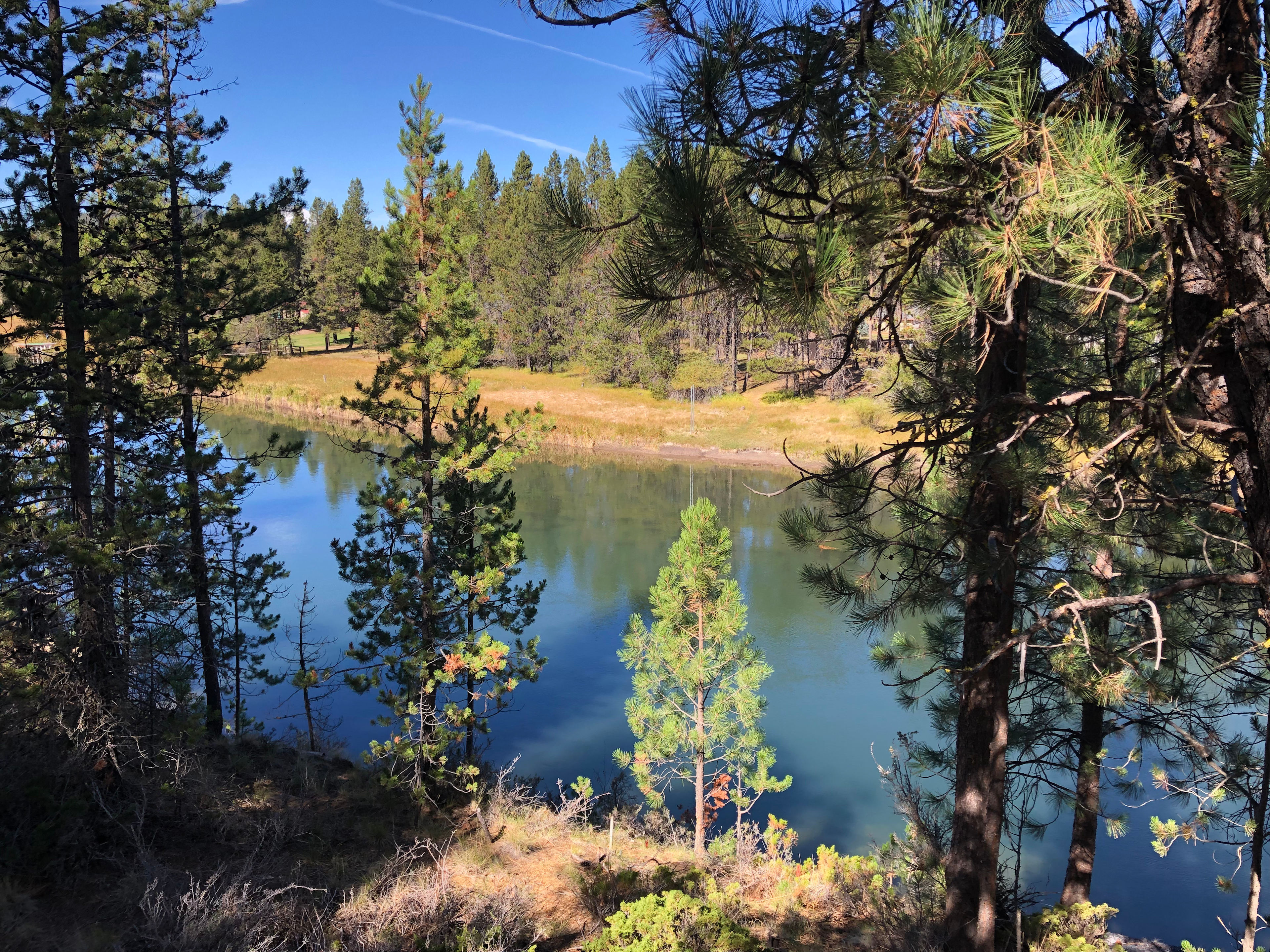 Deschutes Riverside in OWW