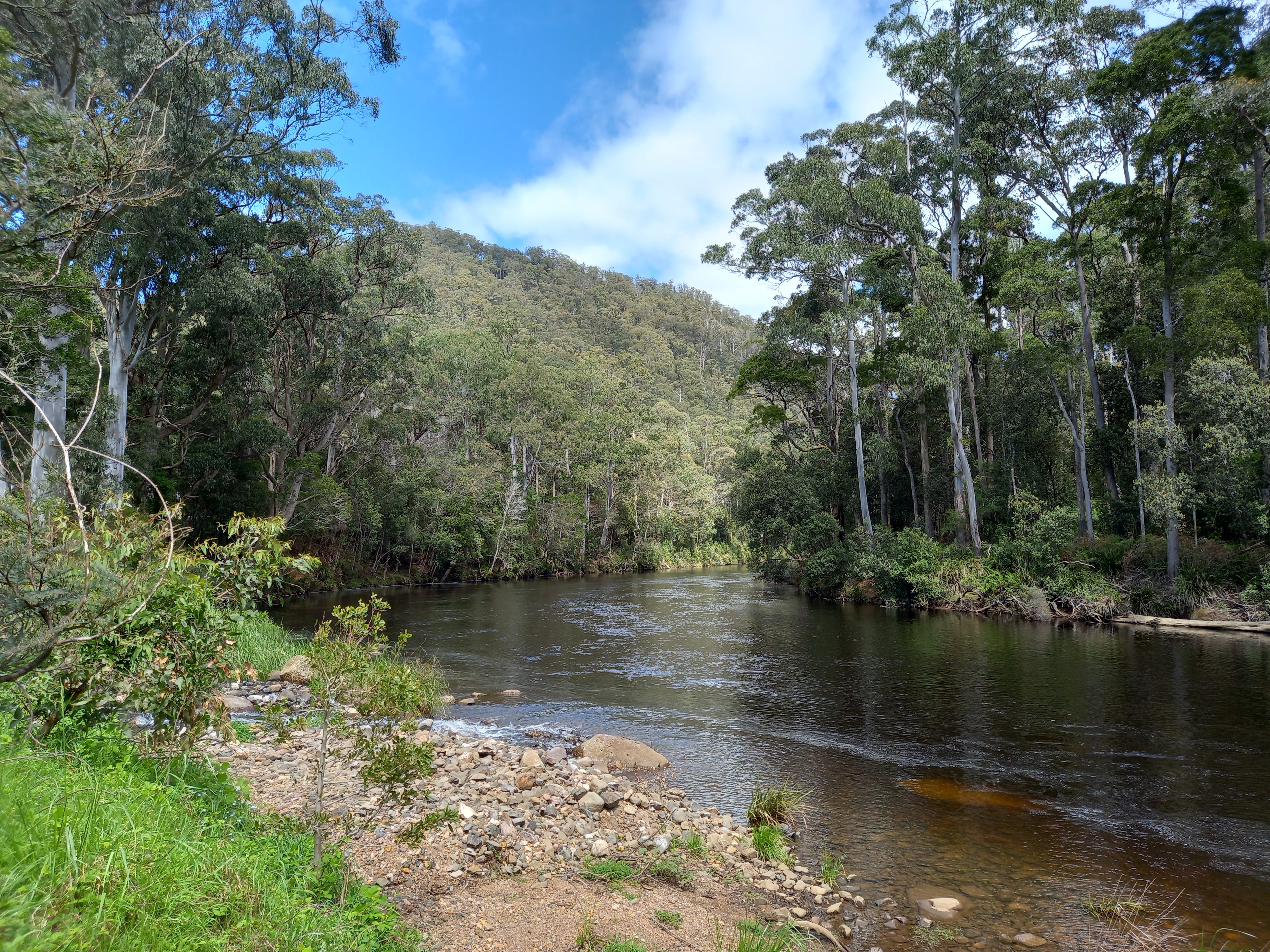 Rivers Edge