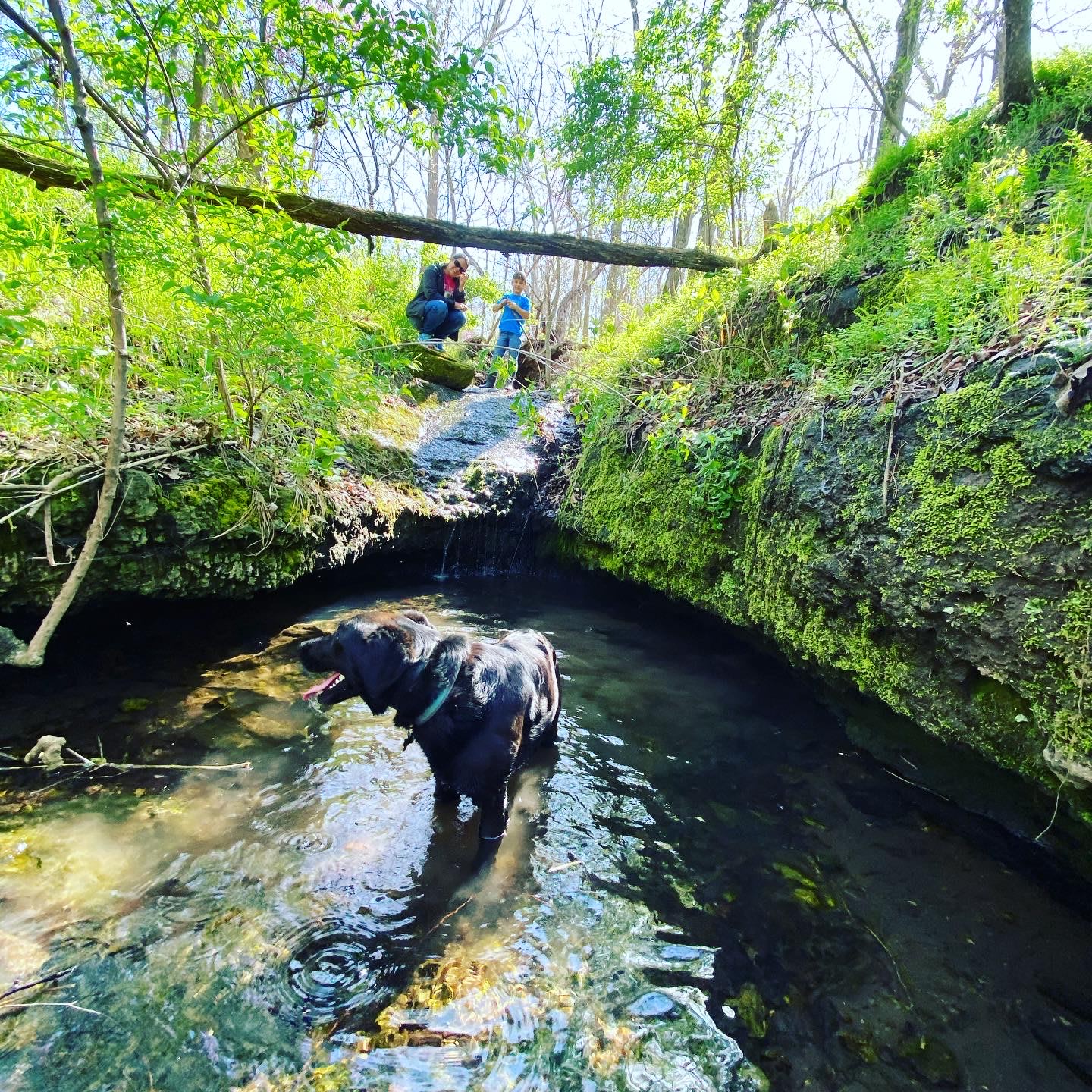 Illinois River Paradise | 60 Acres