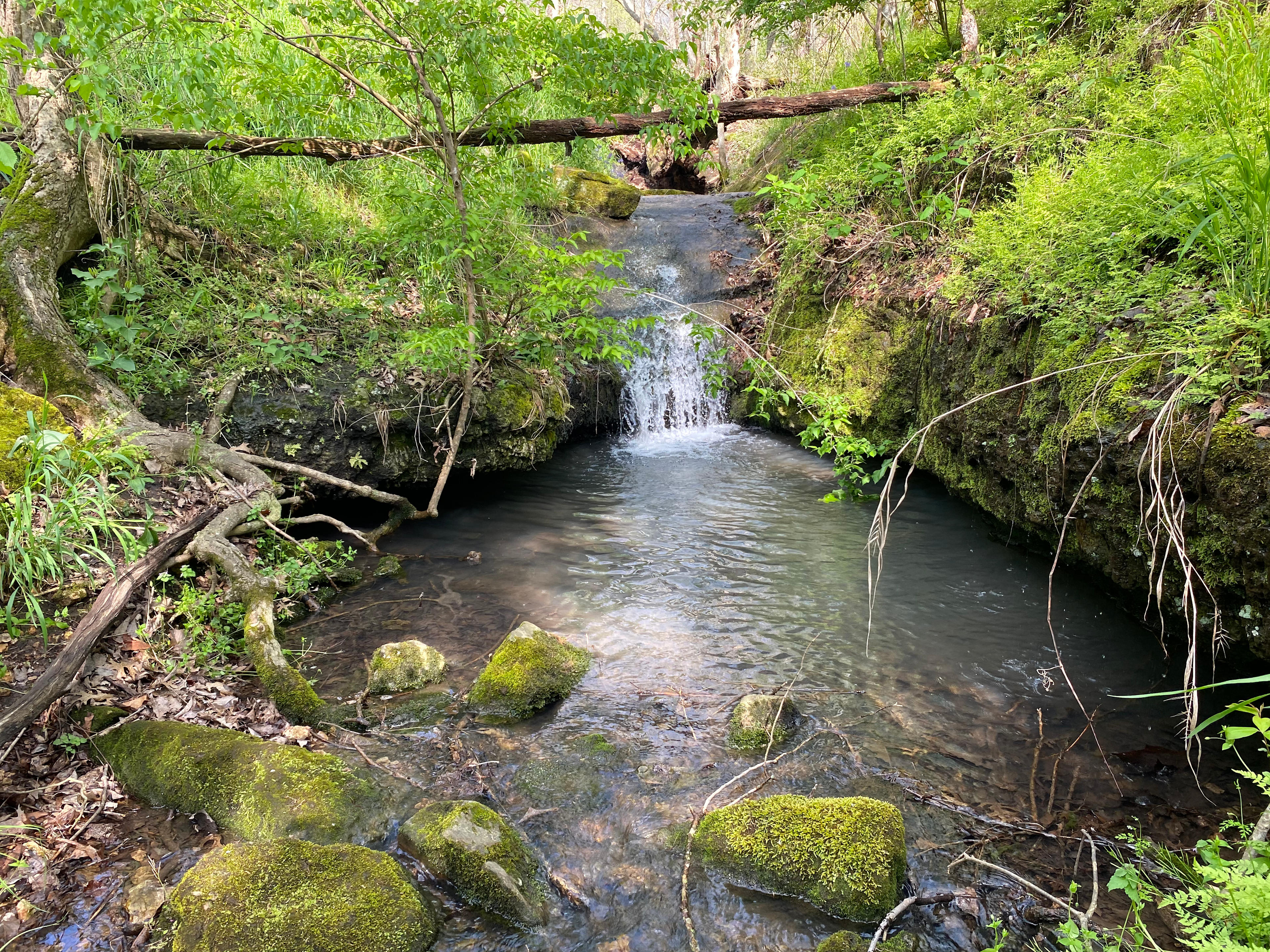Illinois River Paradise | 60 Acres