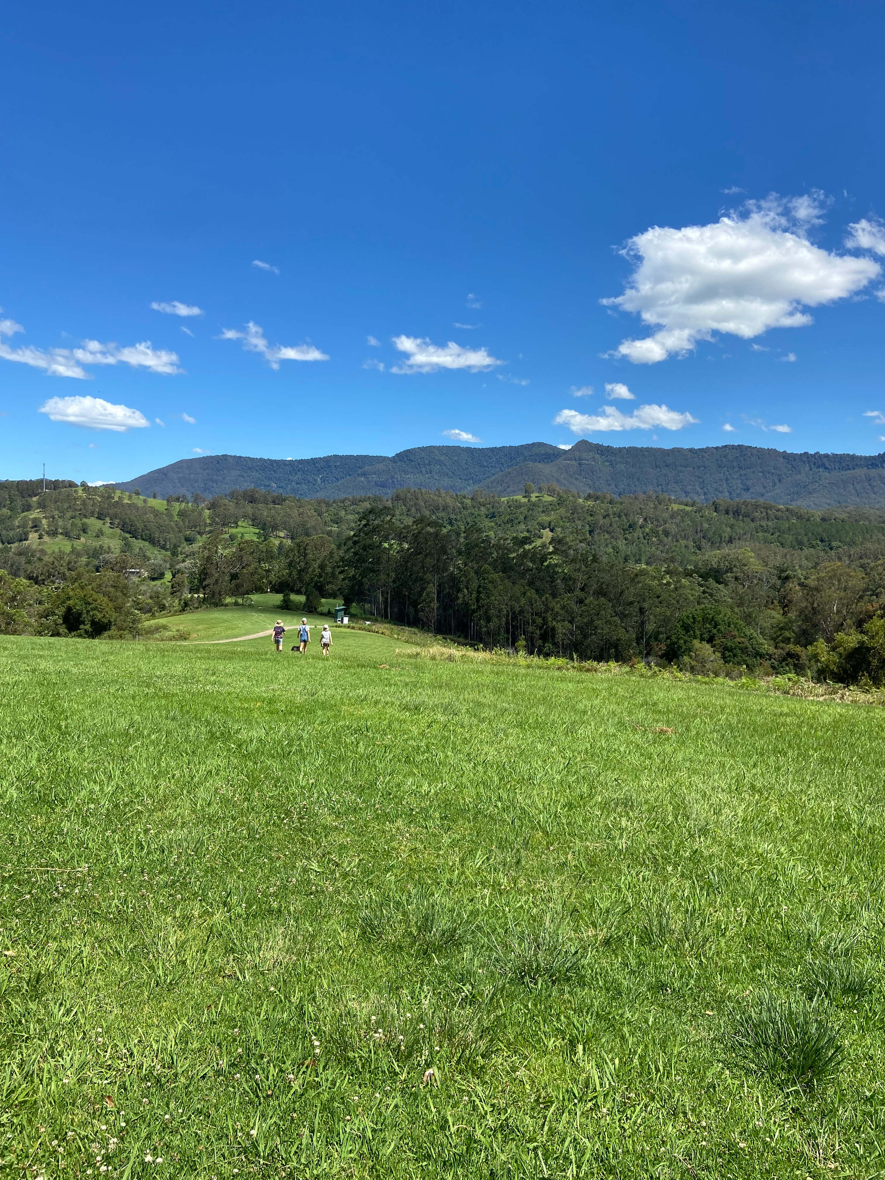 Misty Mountain - Kunghur