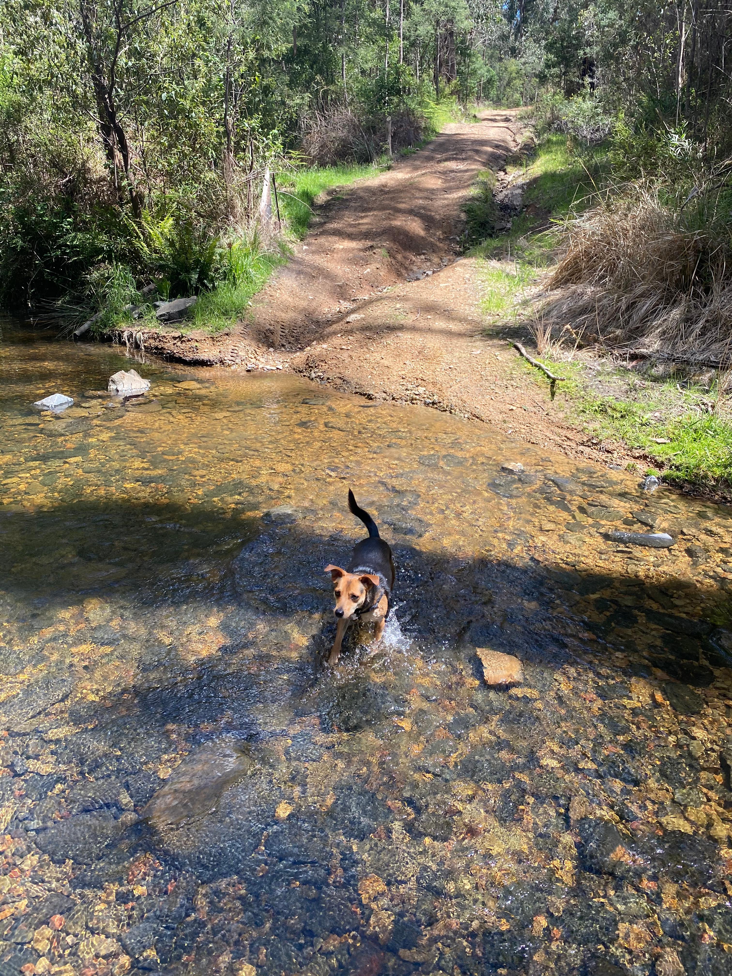 Silver Creek Escape