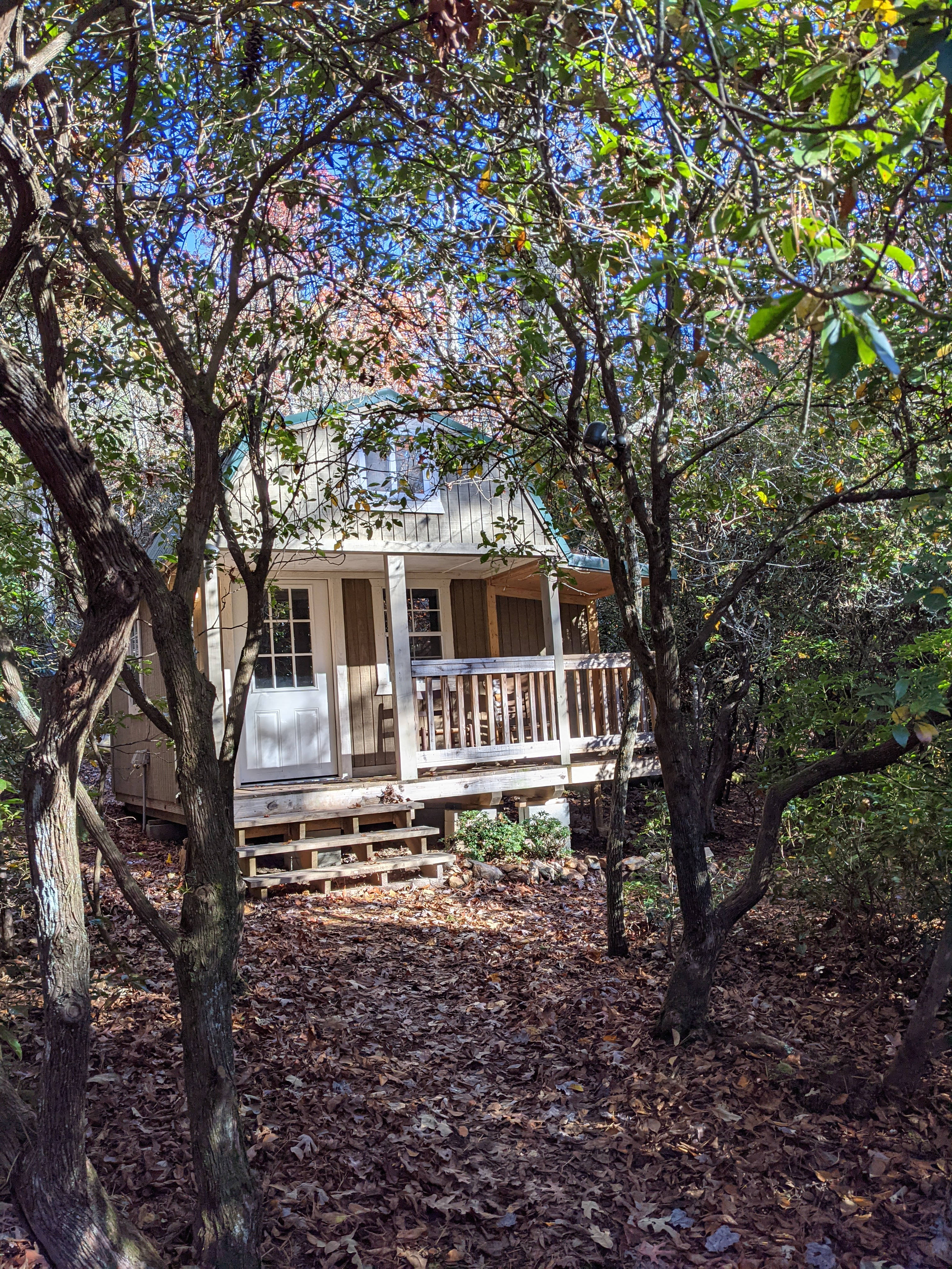 Forestry Treat, Blue Ridge
