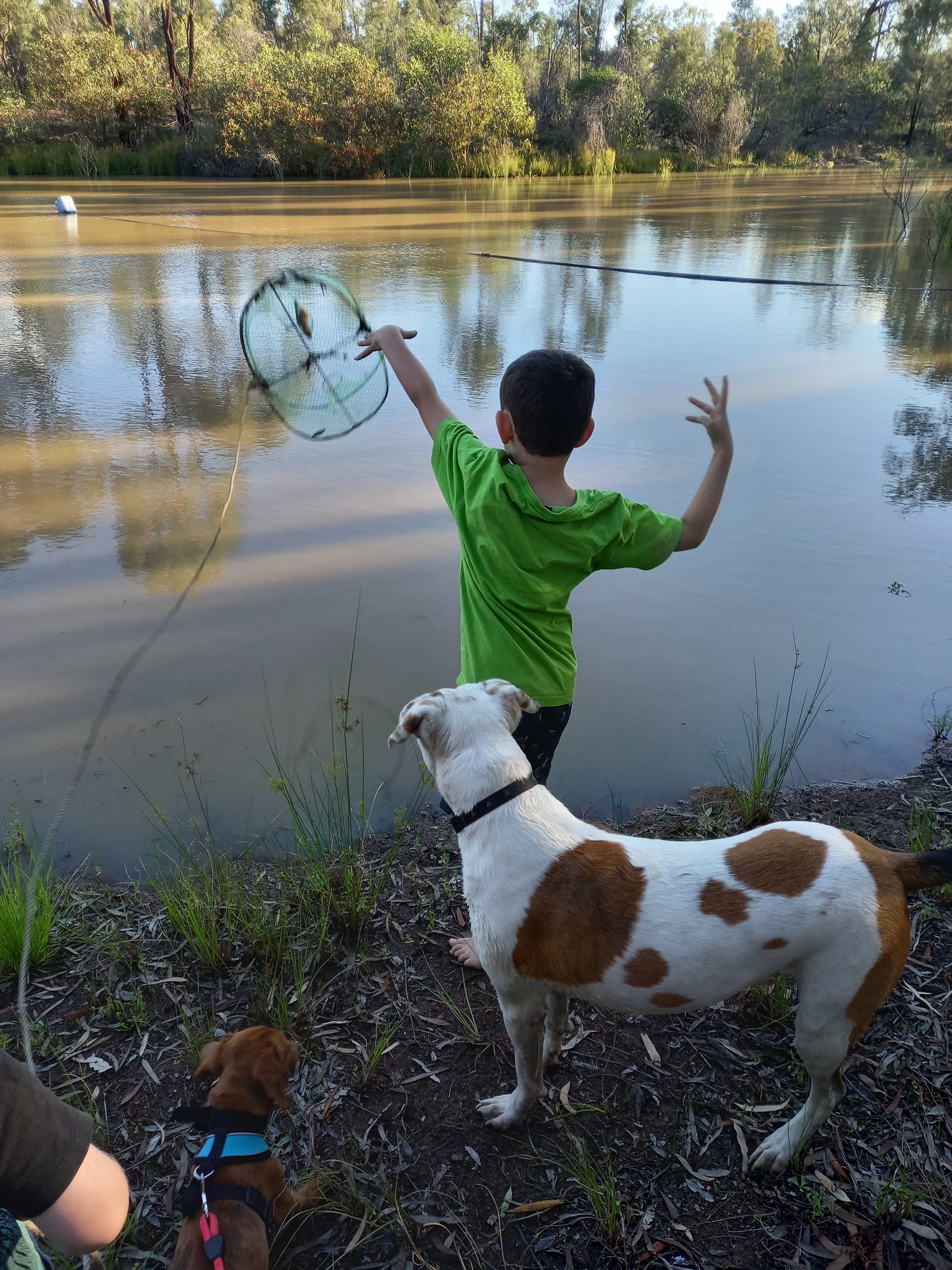 And there goes another yabby pot.