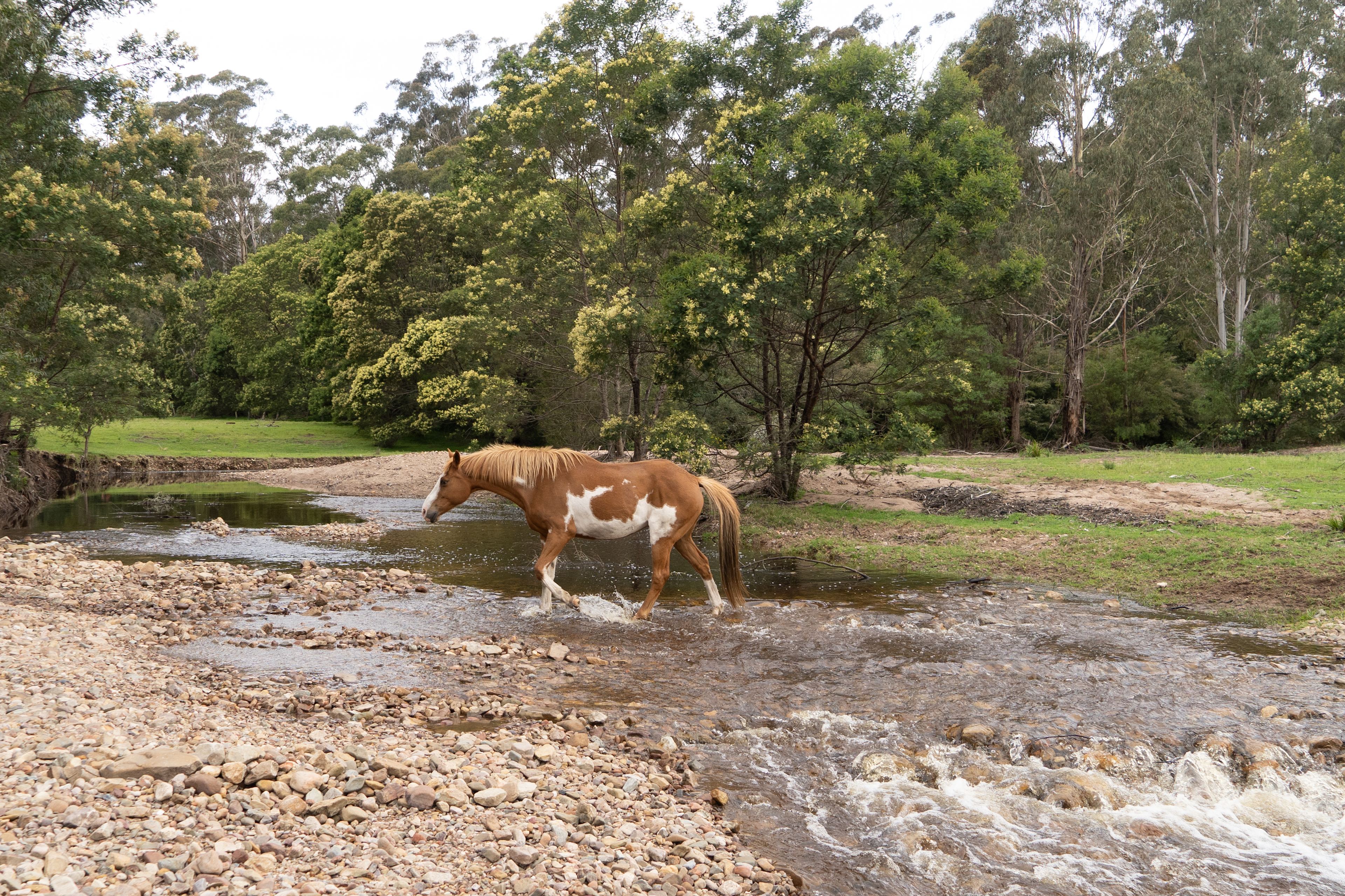 Merimbula Camping