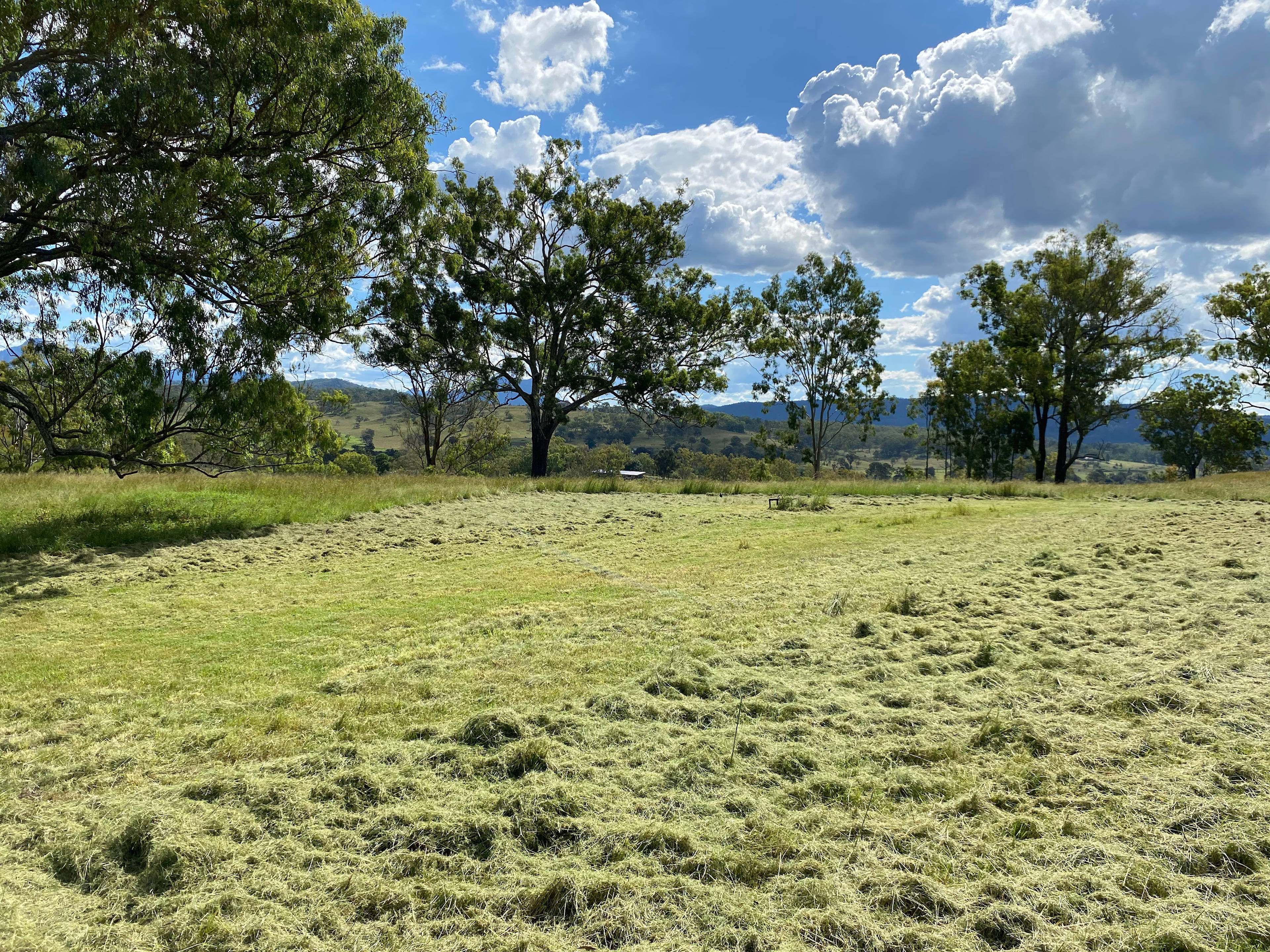 Eastgrove, Running Creek