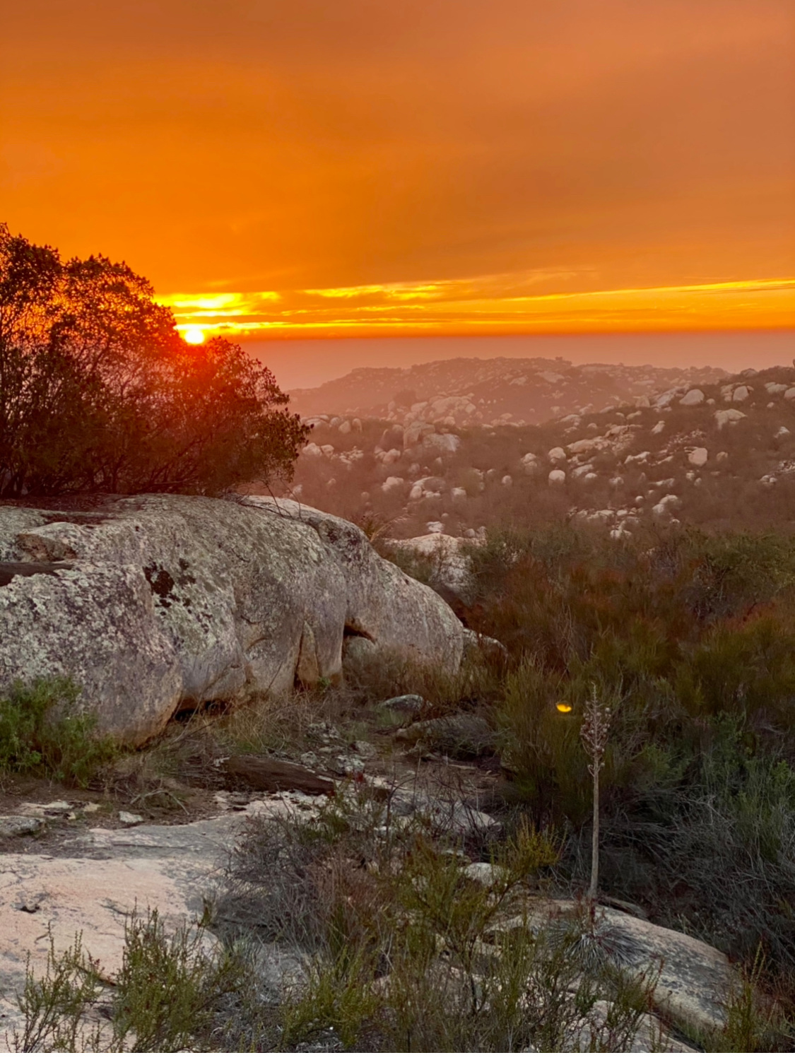 Private mountain, ocean view 🏕