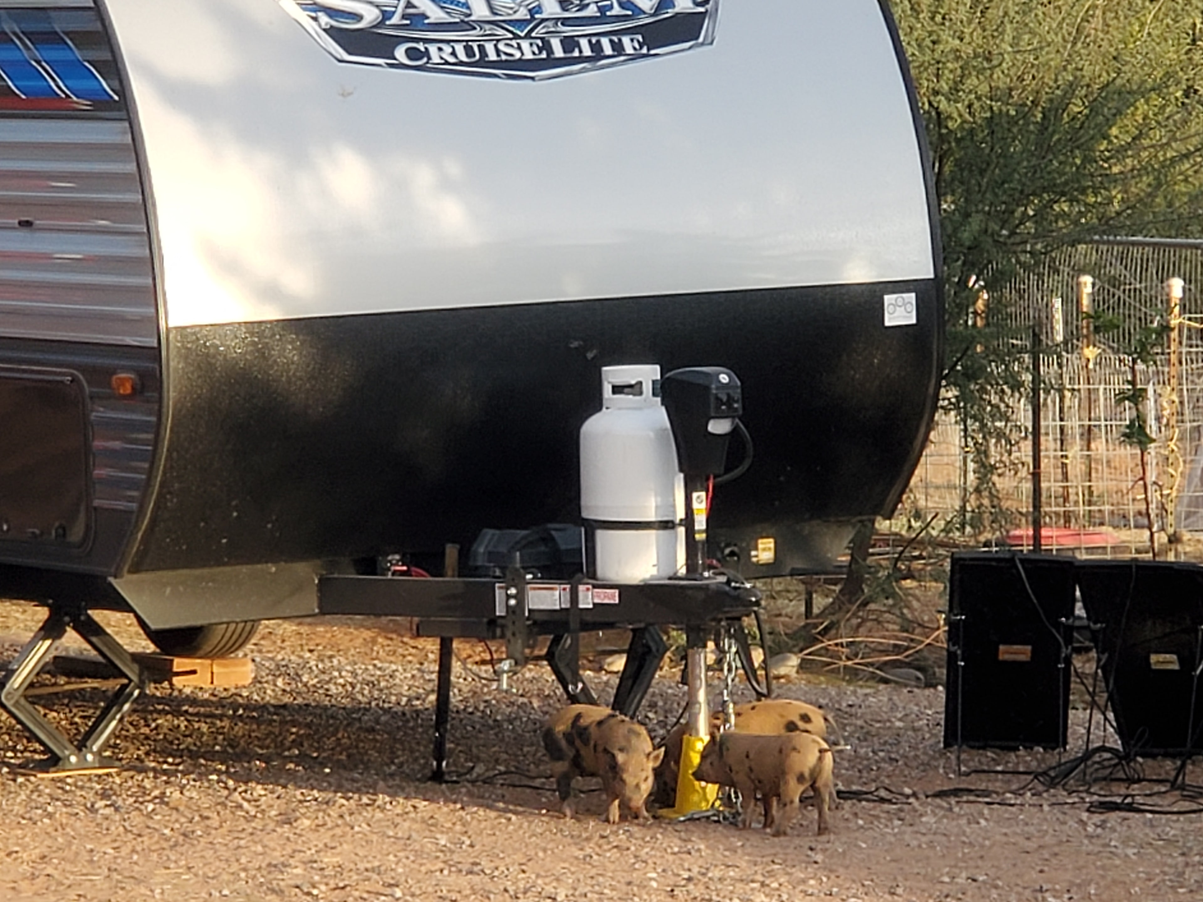 Little visitors checking things out.