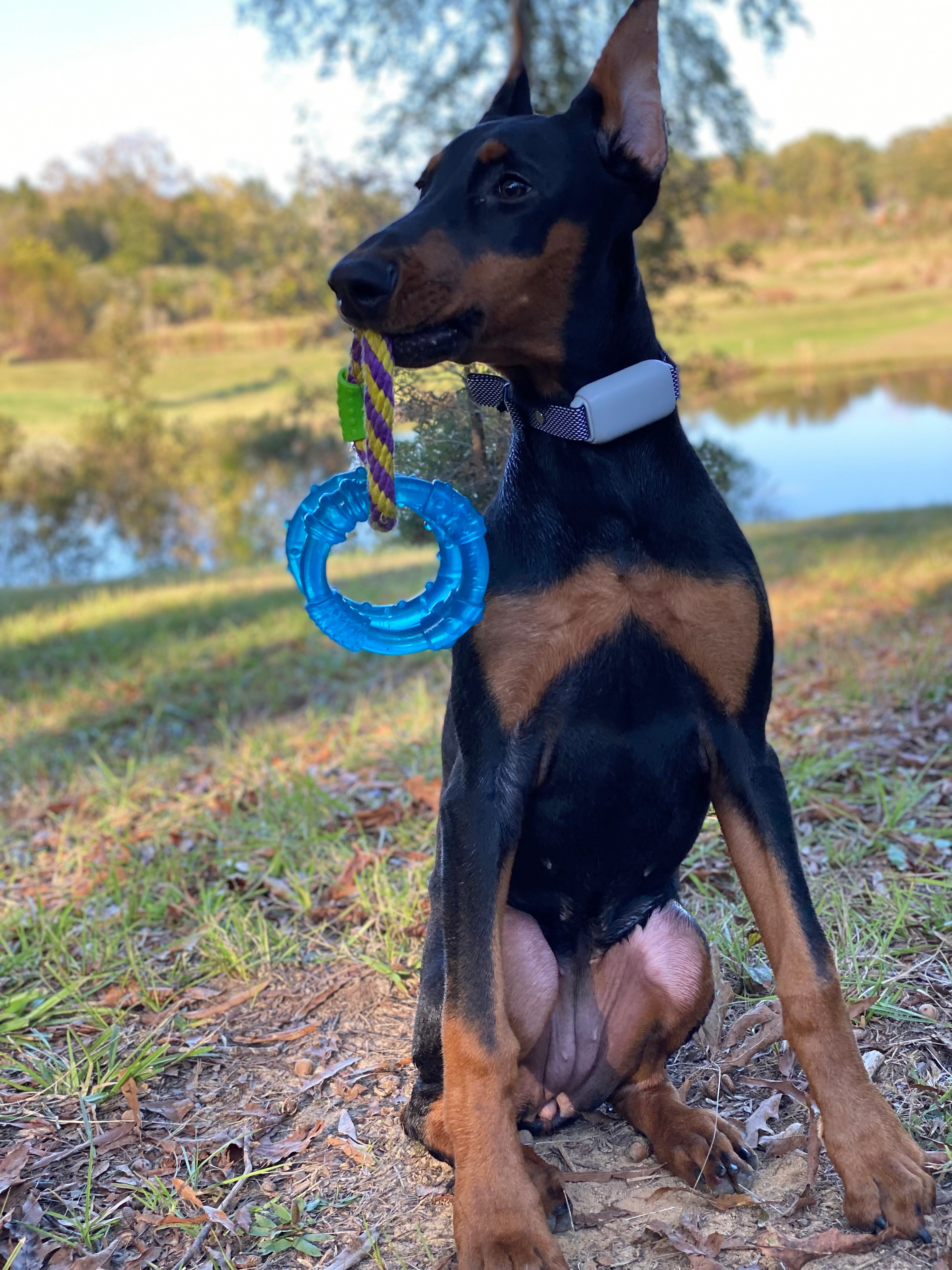 Leach Homestead campground
