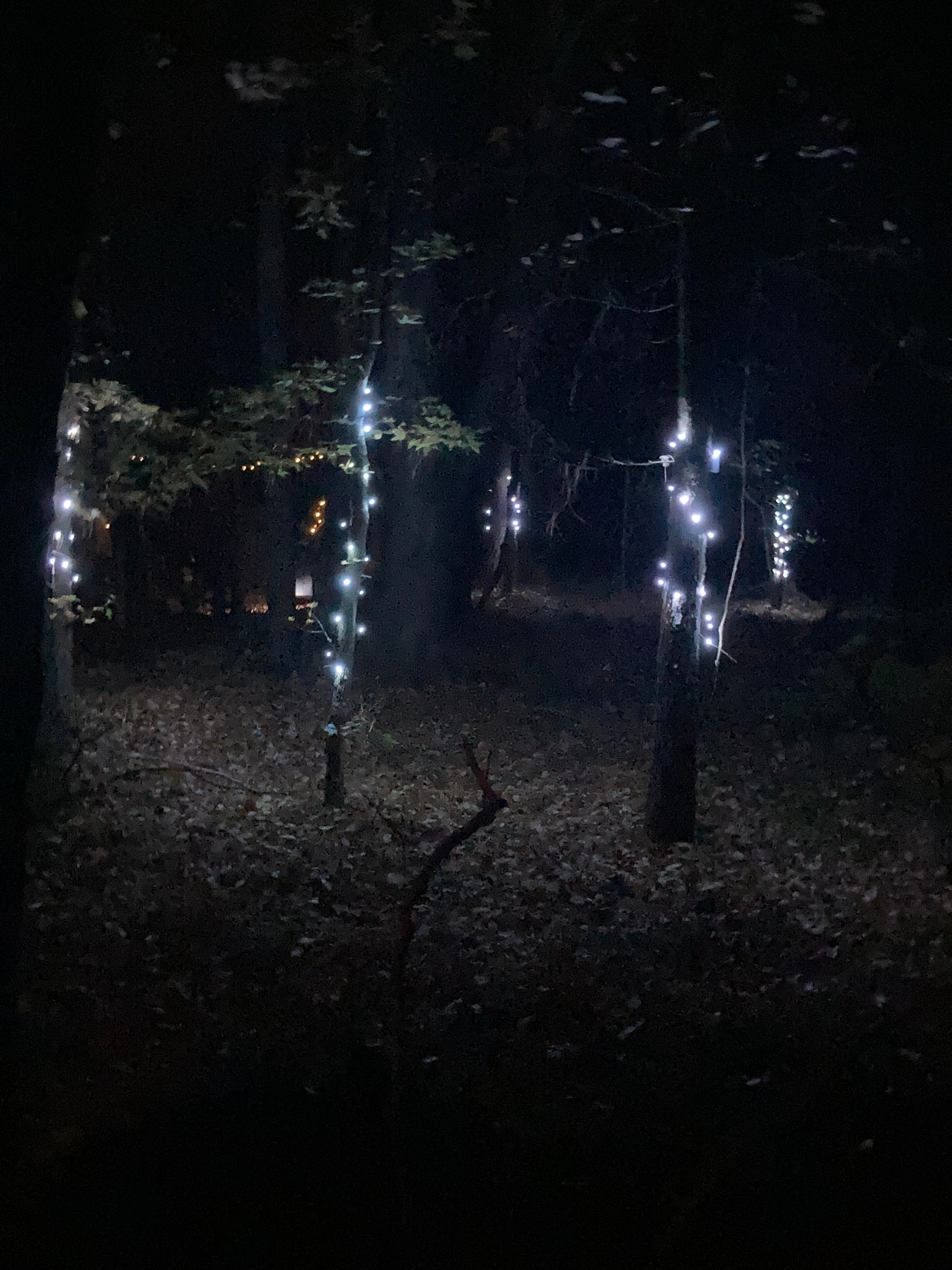 Lights Glow up the night enhancing your experience. The Kids Love it!