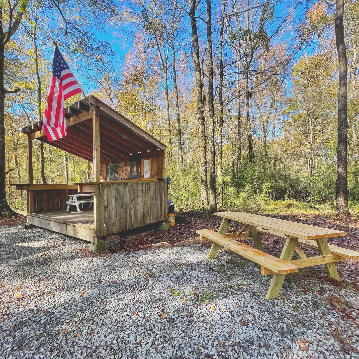 Georgia Bushcraft
