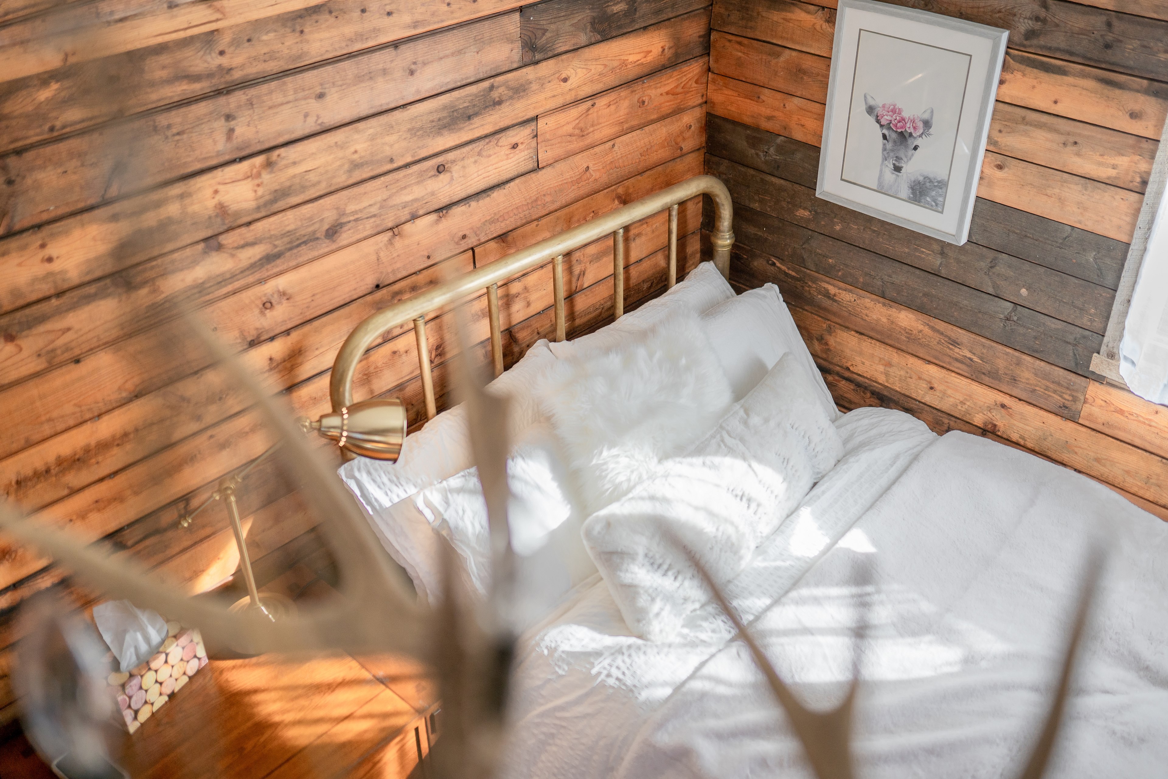 The Secret Sanctuary