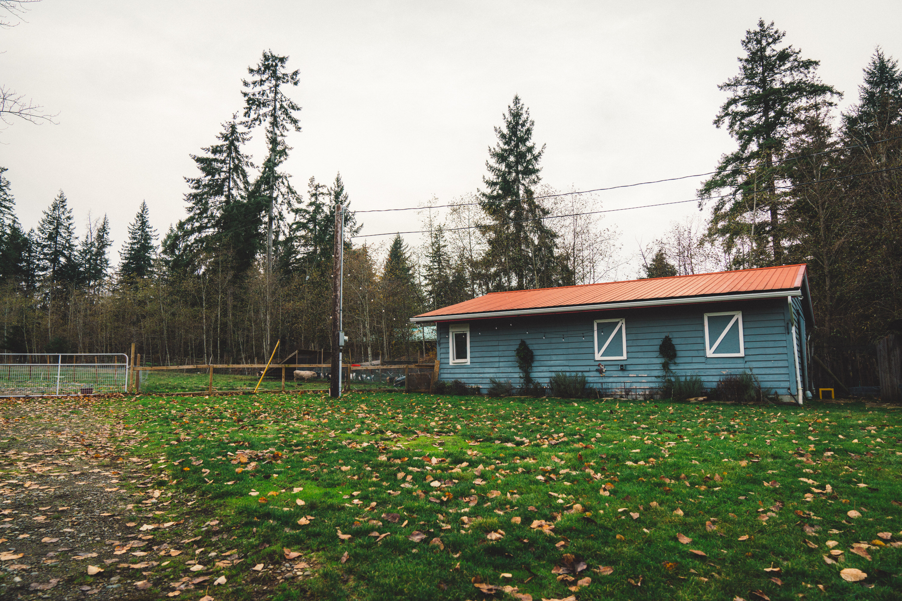 The lawn and barn housing the various animals. 