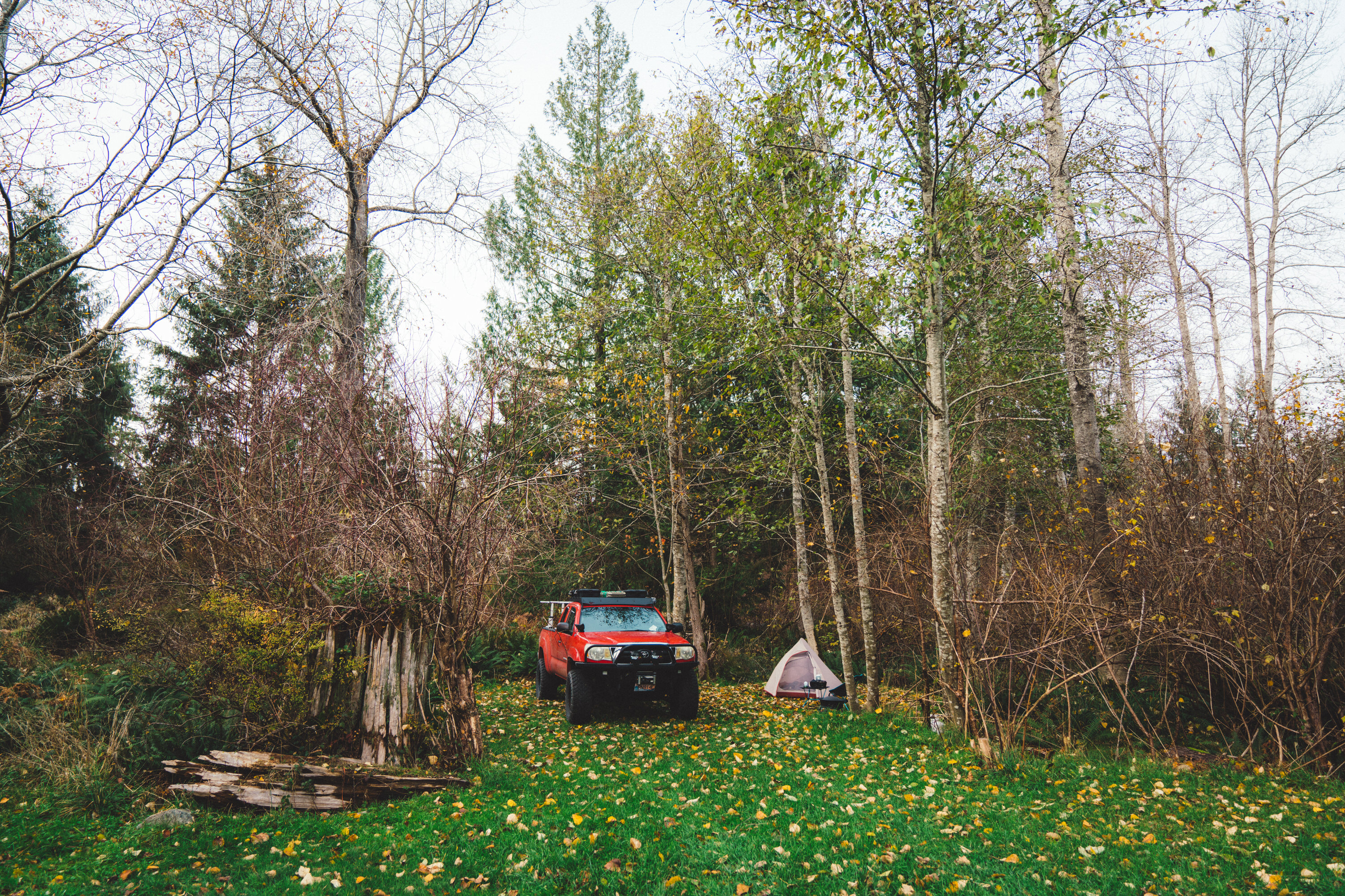 The camping area, with lots of space for multiple tents and vehicles. 