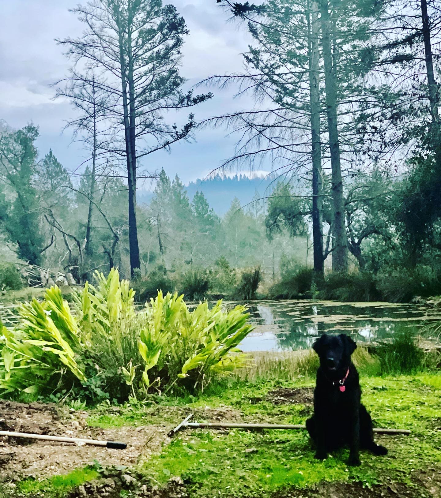Above the Clouds RV Park