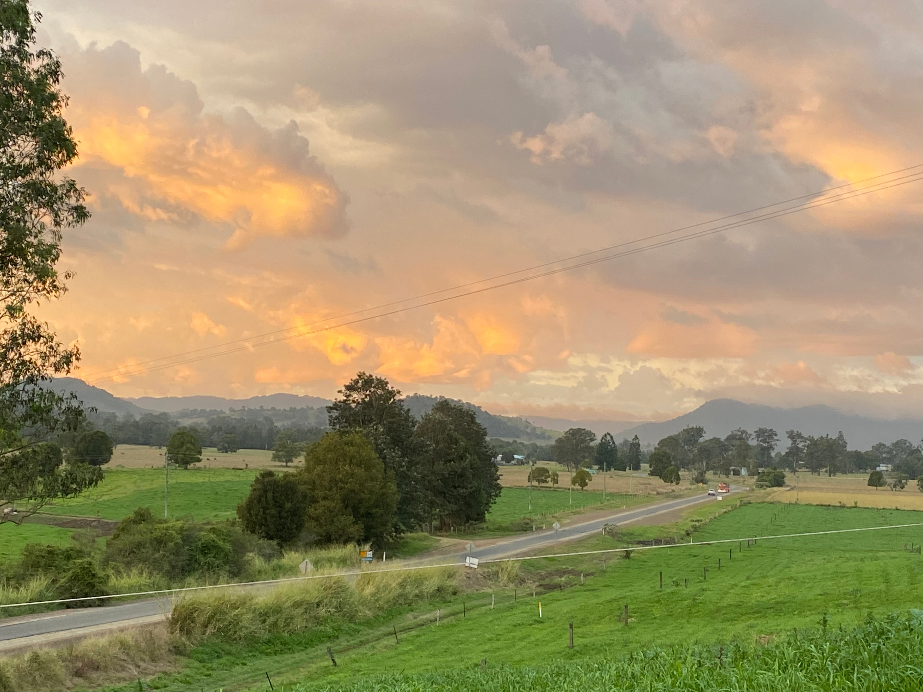 Guppy Gully on the Mary