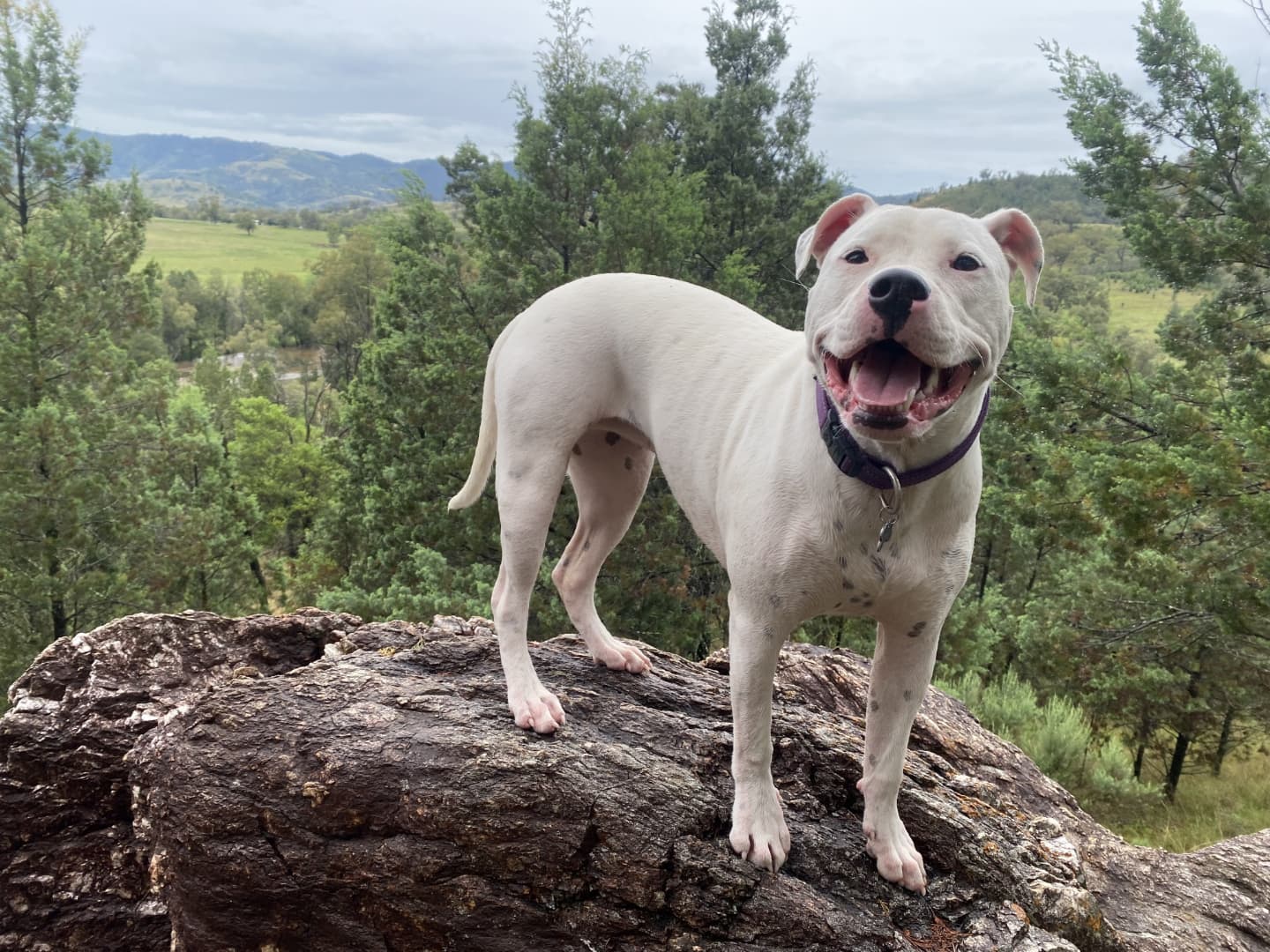 Lookout near the first entry gate