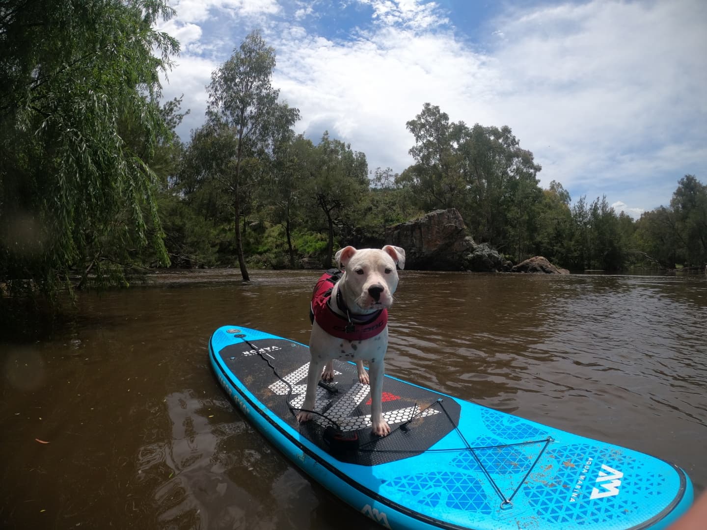 Riverside Escape Off Grid Camping