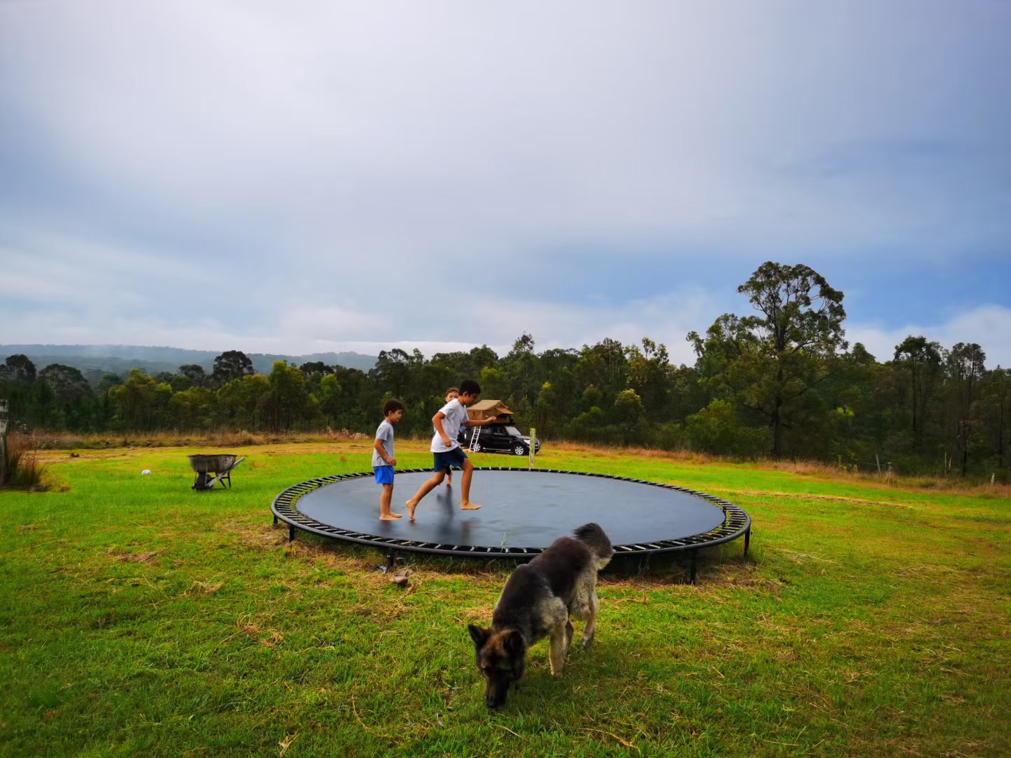 Fame Mountain Camp - pets welcome