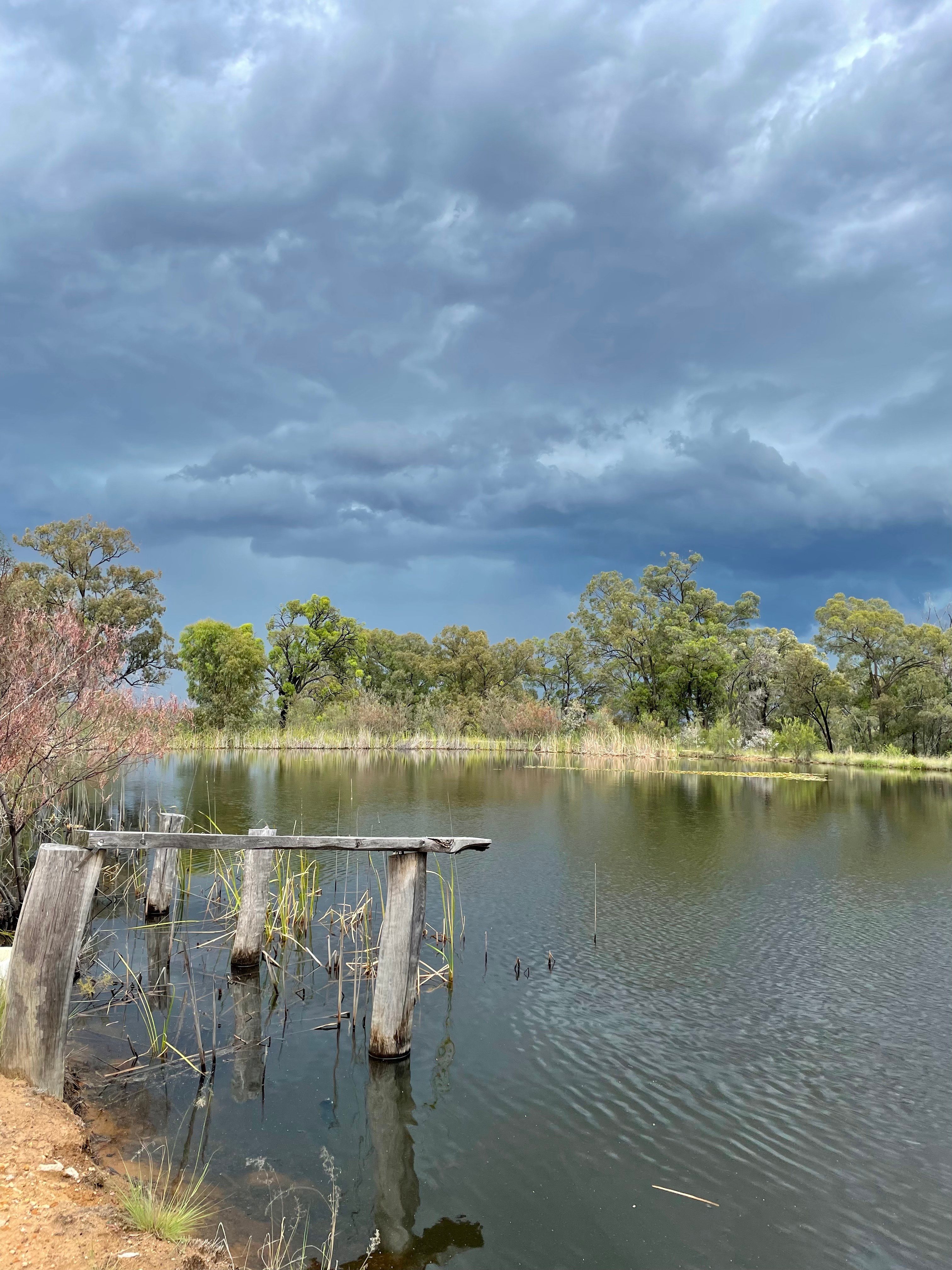 Narrabri Fish Farm
