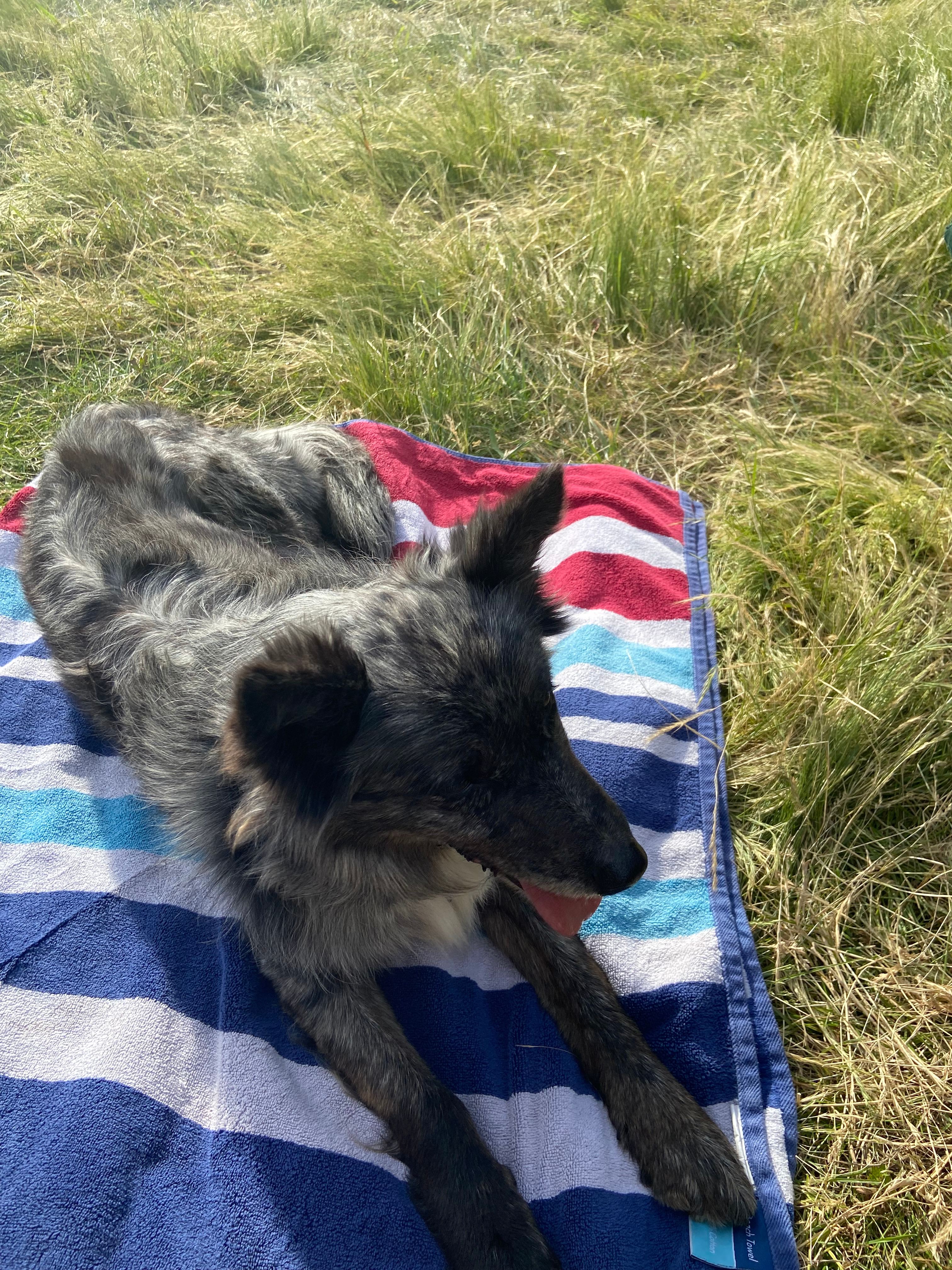 Farm Stay "Como Valley"@ Ben Bullen