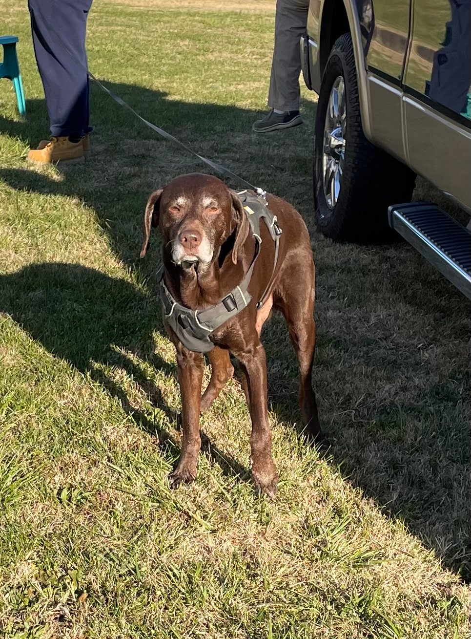 Burton Family Farm a place to relax