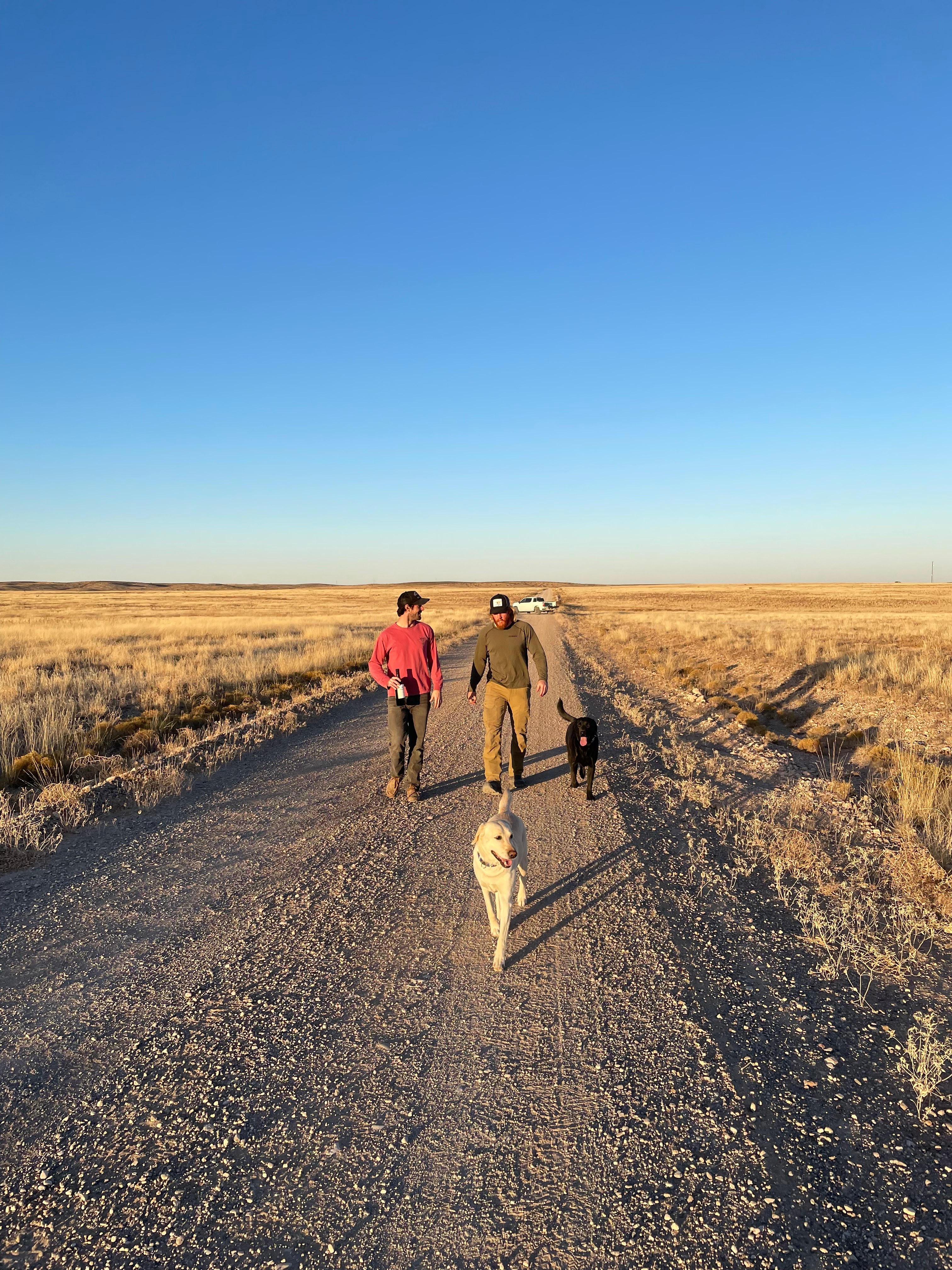 Walkin the dogs with a buddy! 